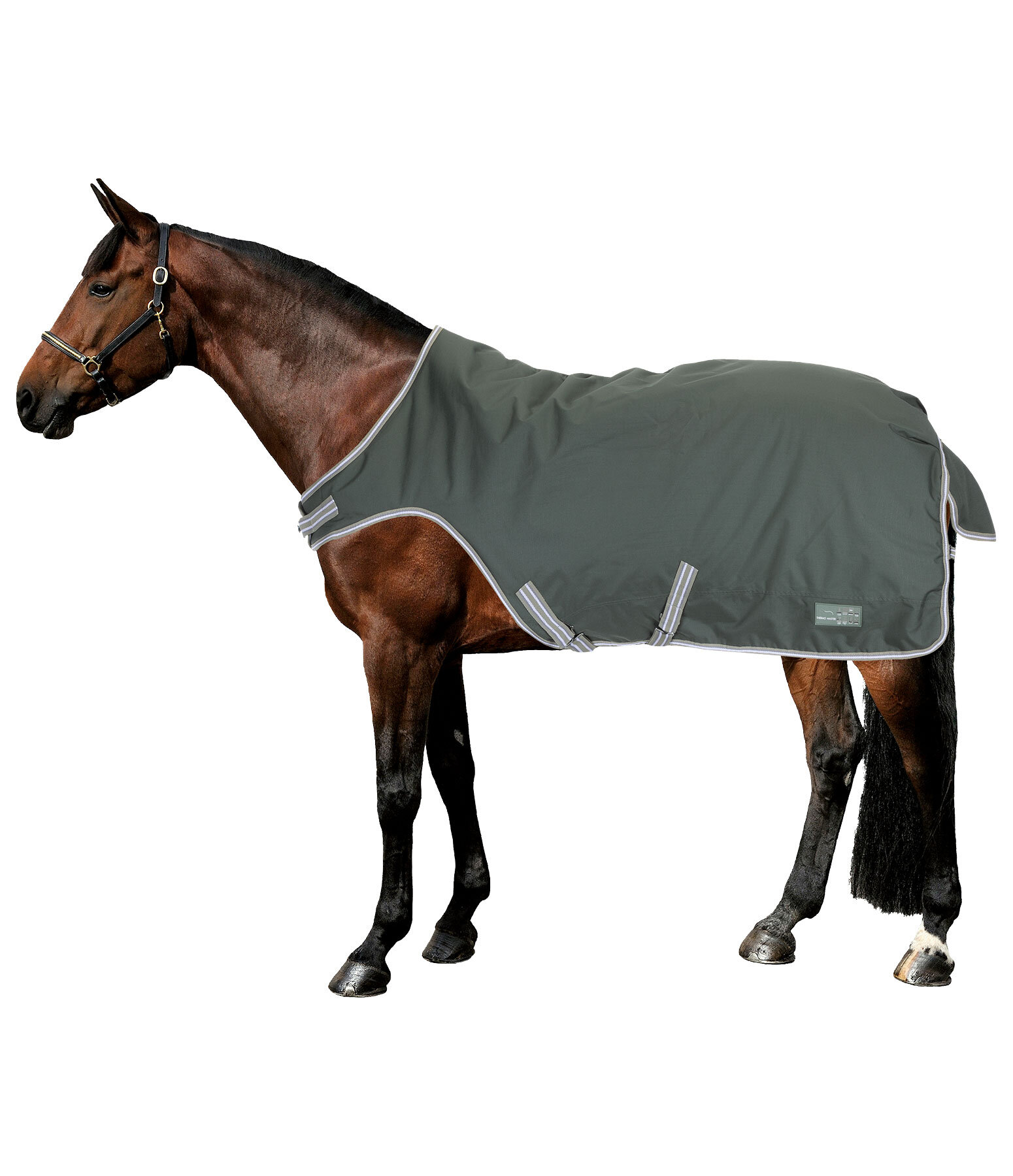 Turnout Walker Rug Kasimo II, 0g