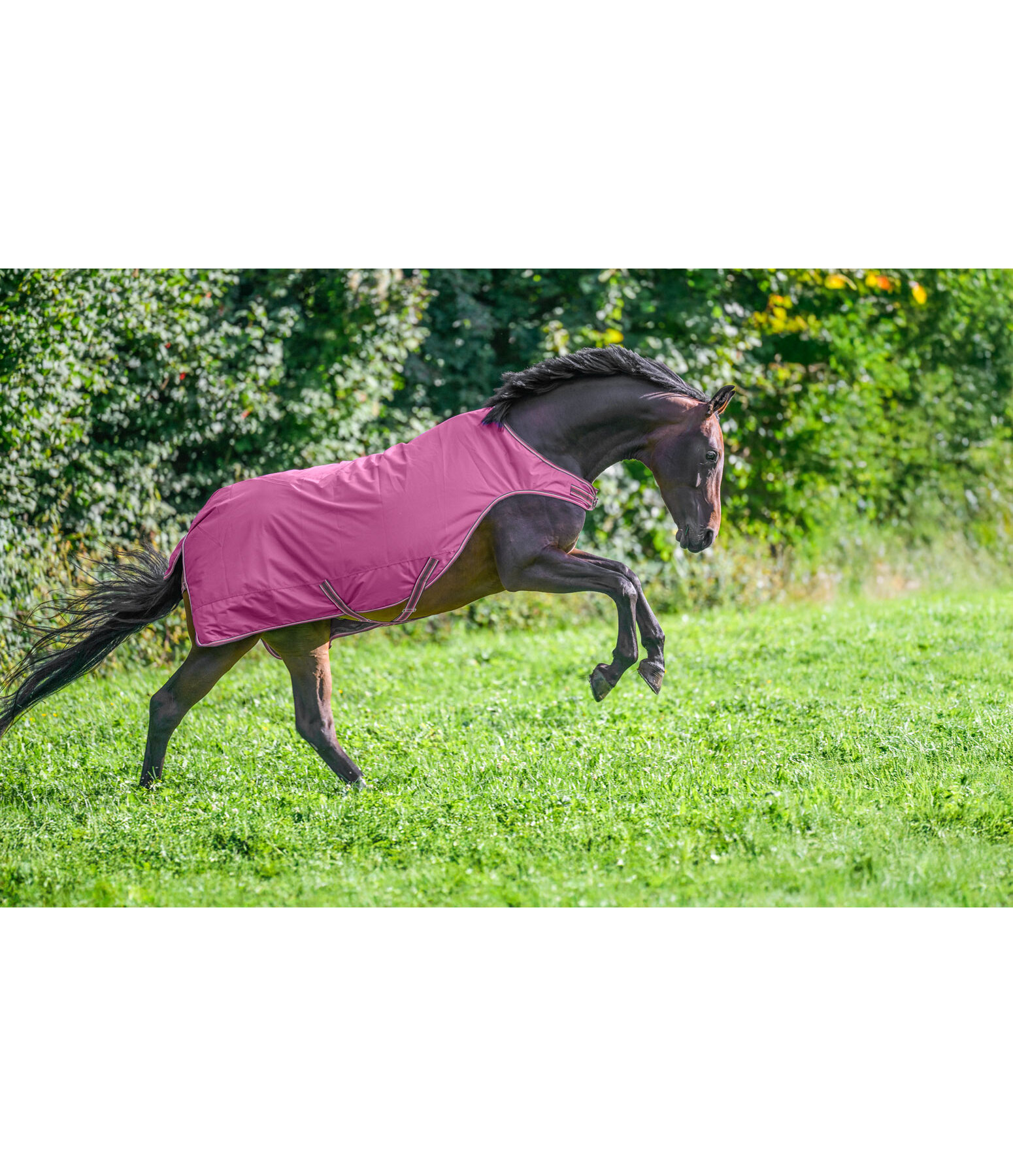 Outdoor Walker Rug Kasimo II, 0g