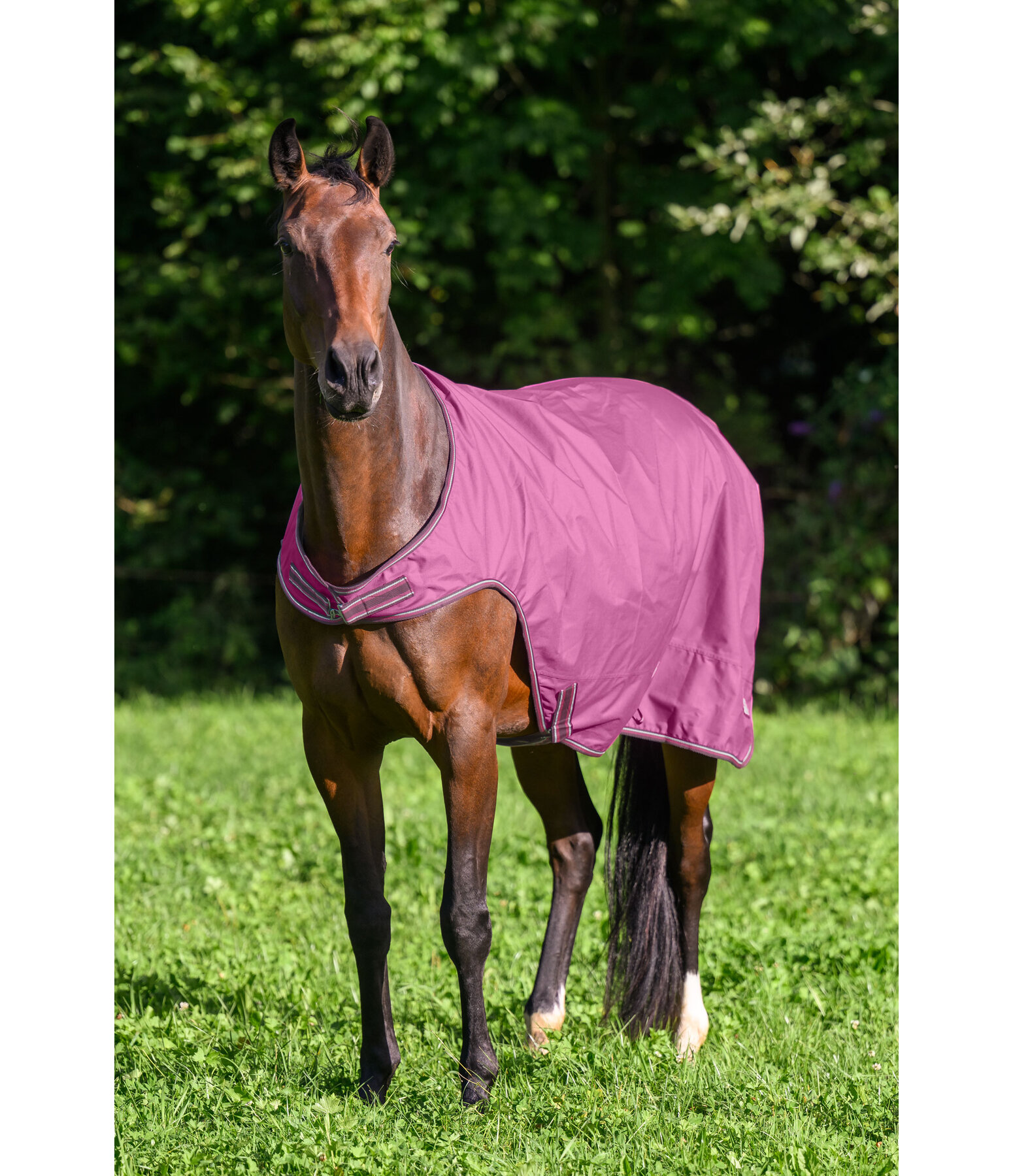 Outdoor Walker Rug Kasimo II, 0g