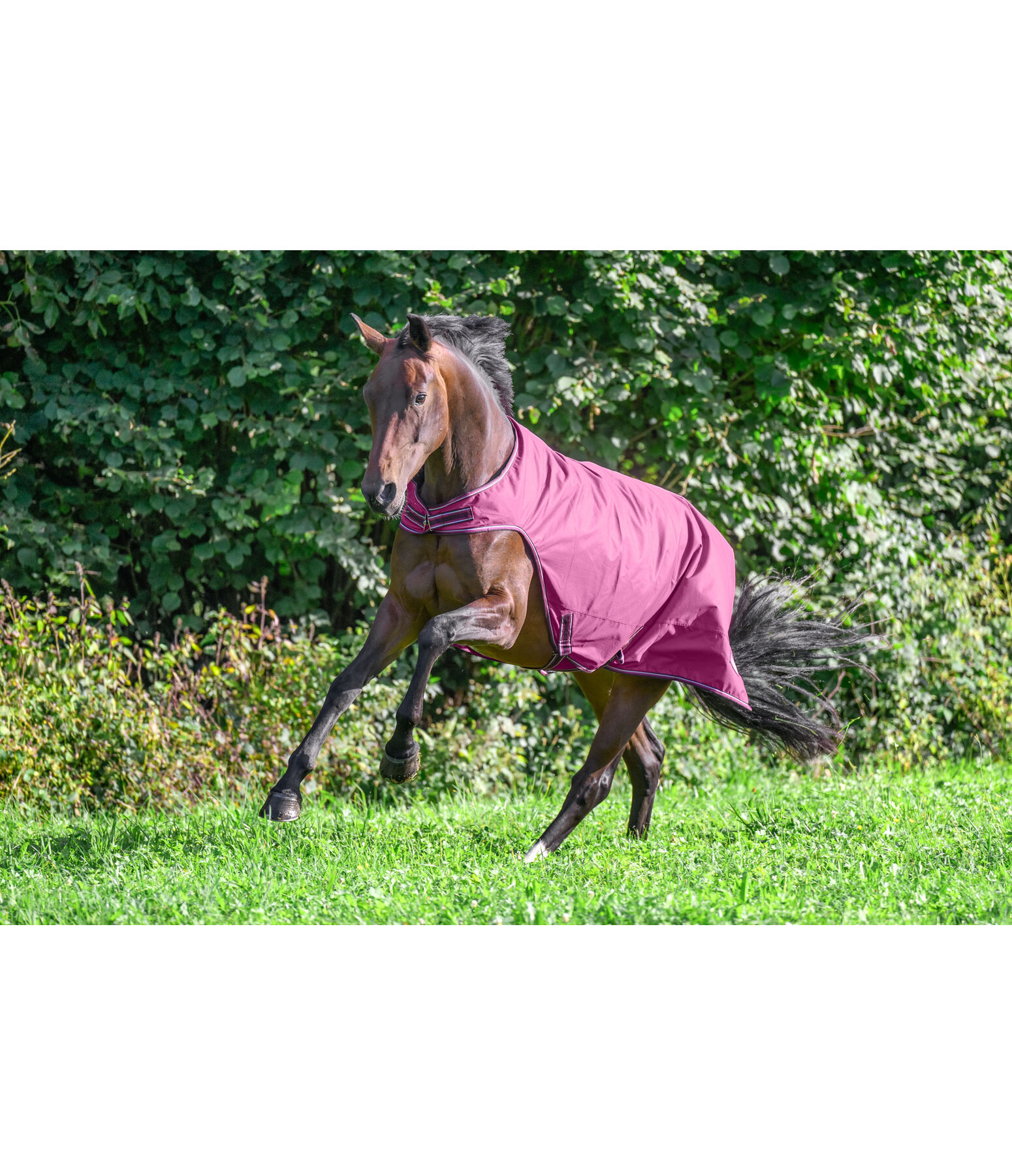 Outdoor Walker Rug Kasimo II, 0g