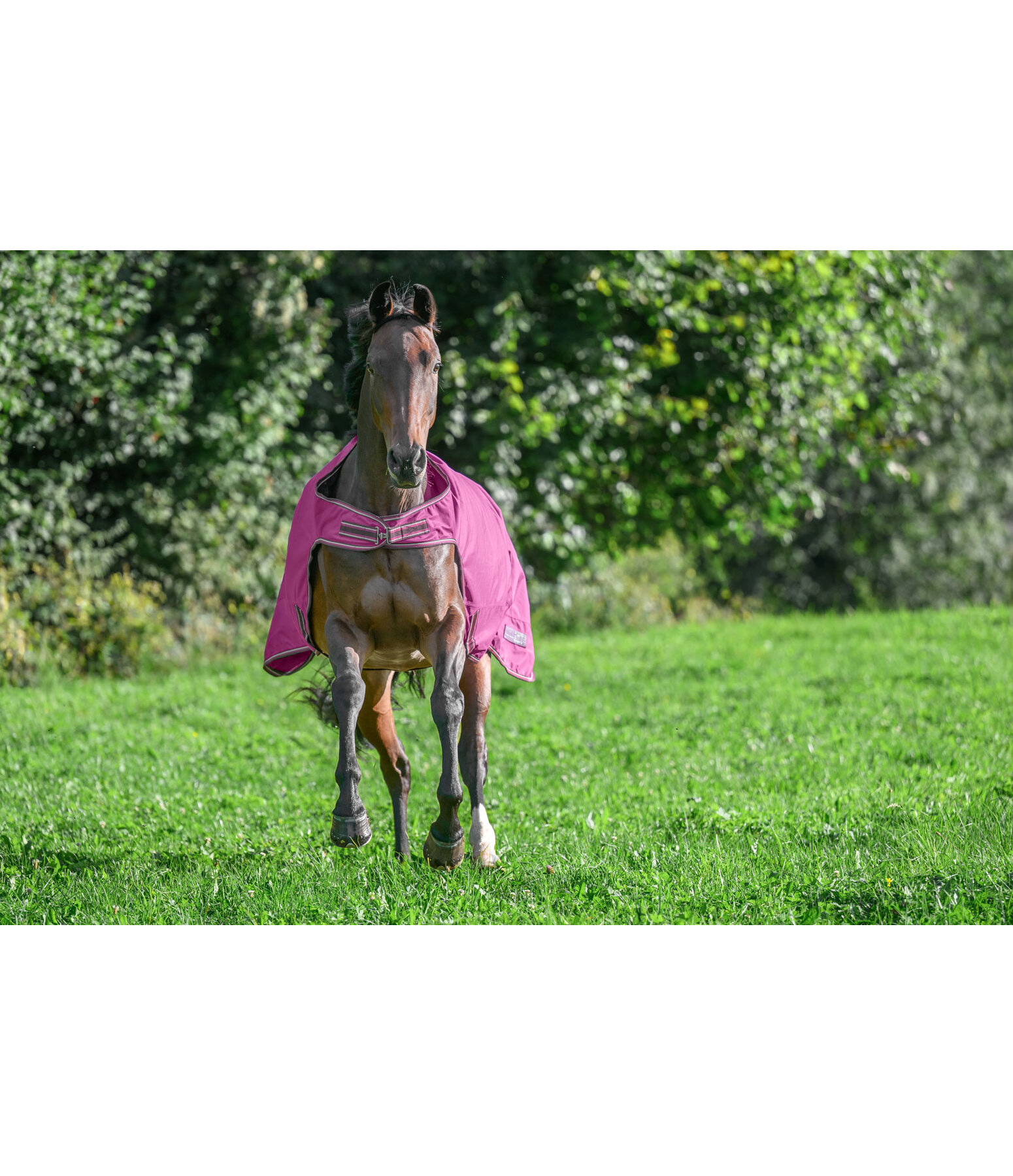 Outdoor Walker Rug Kasimo II, 0g