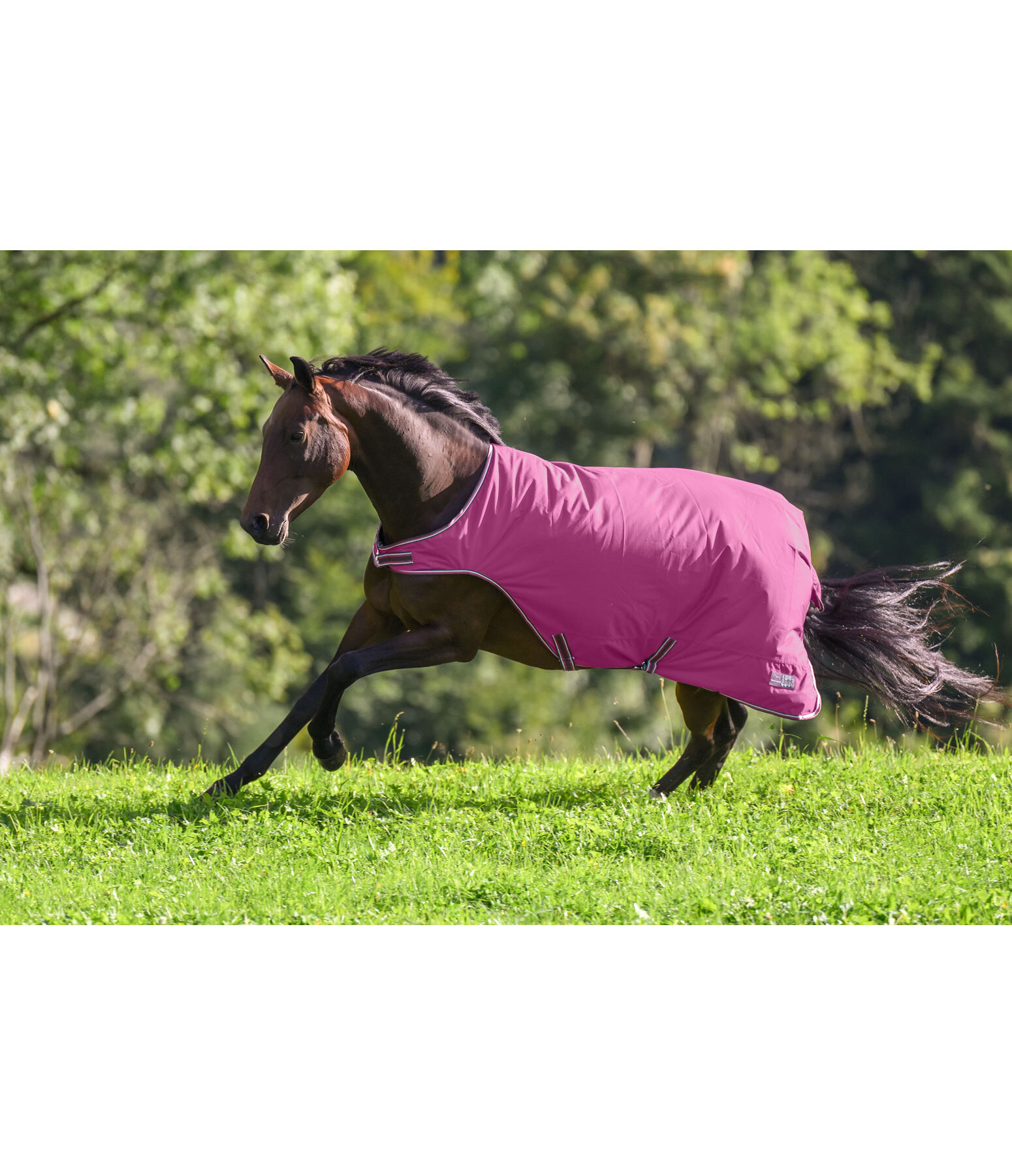 Outdoor Walker Rug Kasimo II, 0g