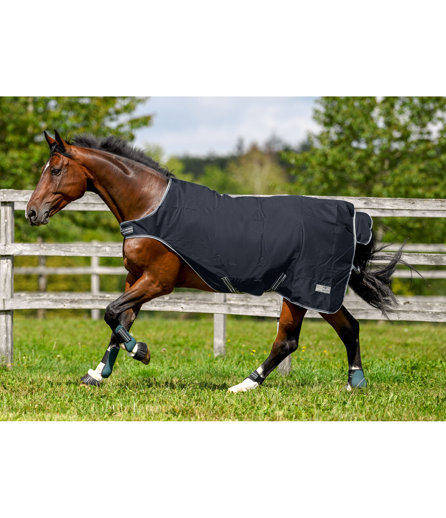 Turnout Walker Rug Kasimo II, 0g