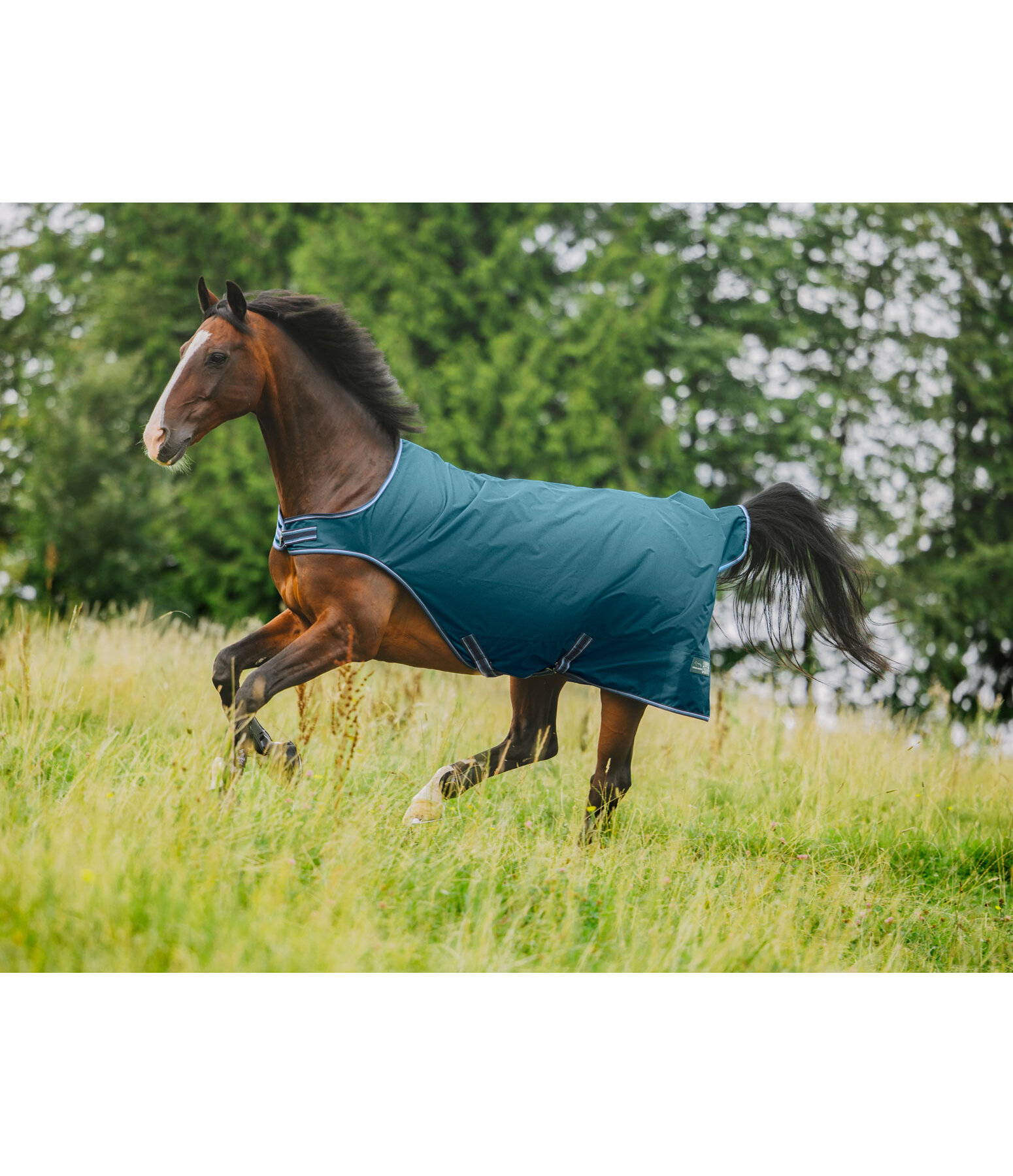 Turnout Walker Rug Kasimo II, 0g