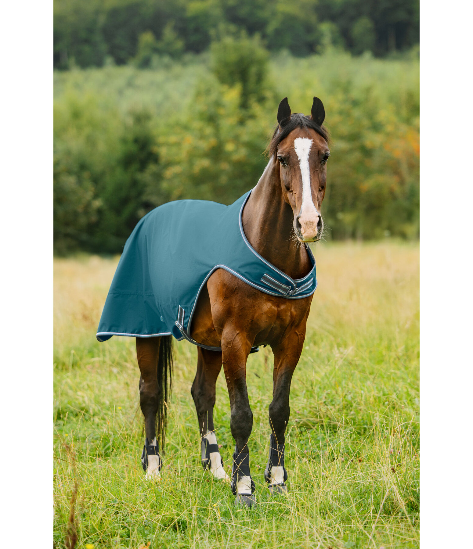 Turnout Walker Rug Kasimo II, 0g