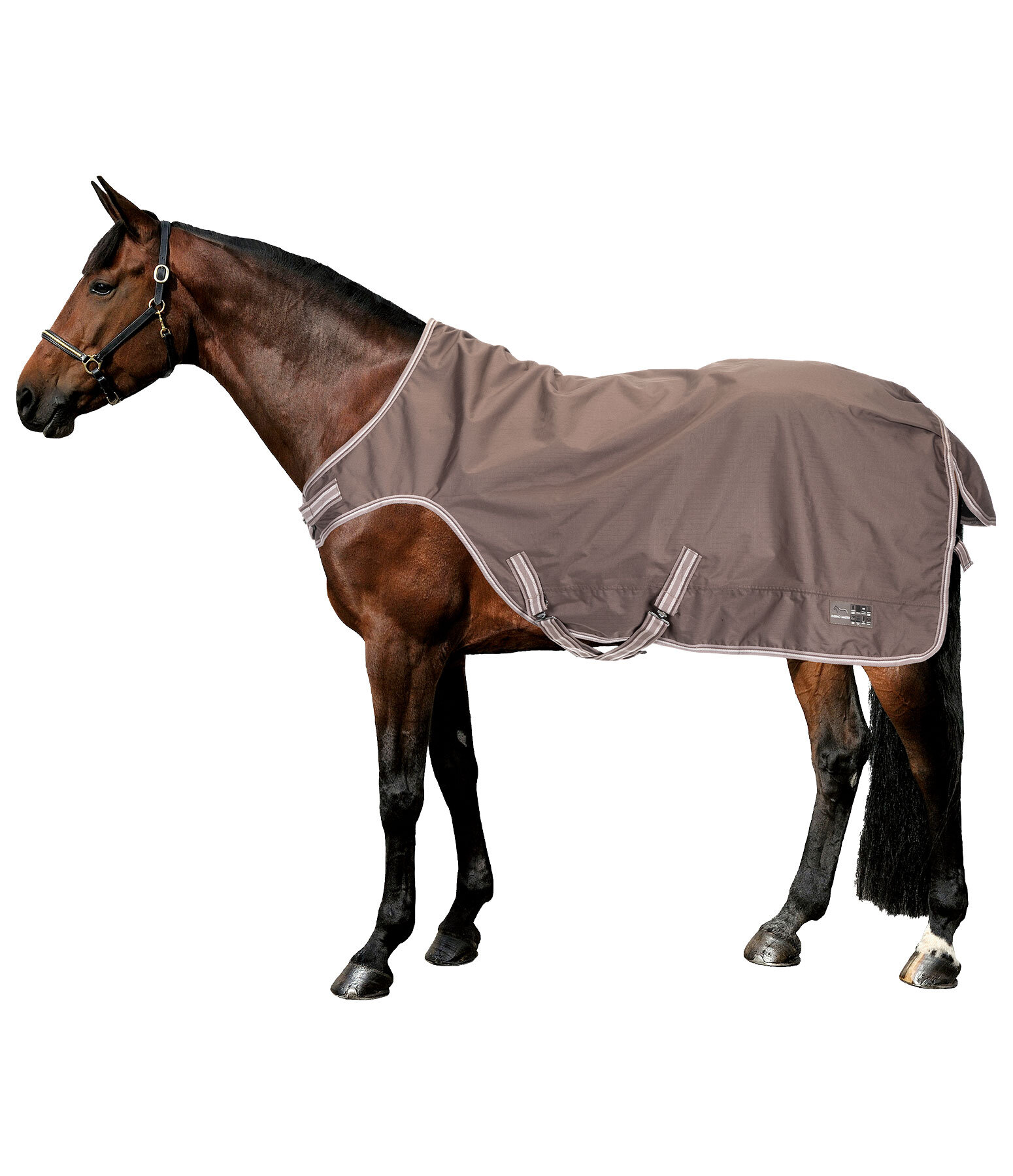 Turnout Walker Rug Kasimo II, 0g