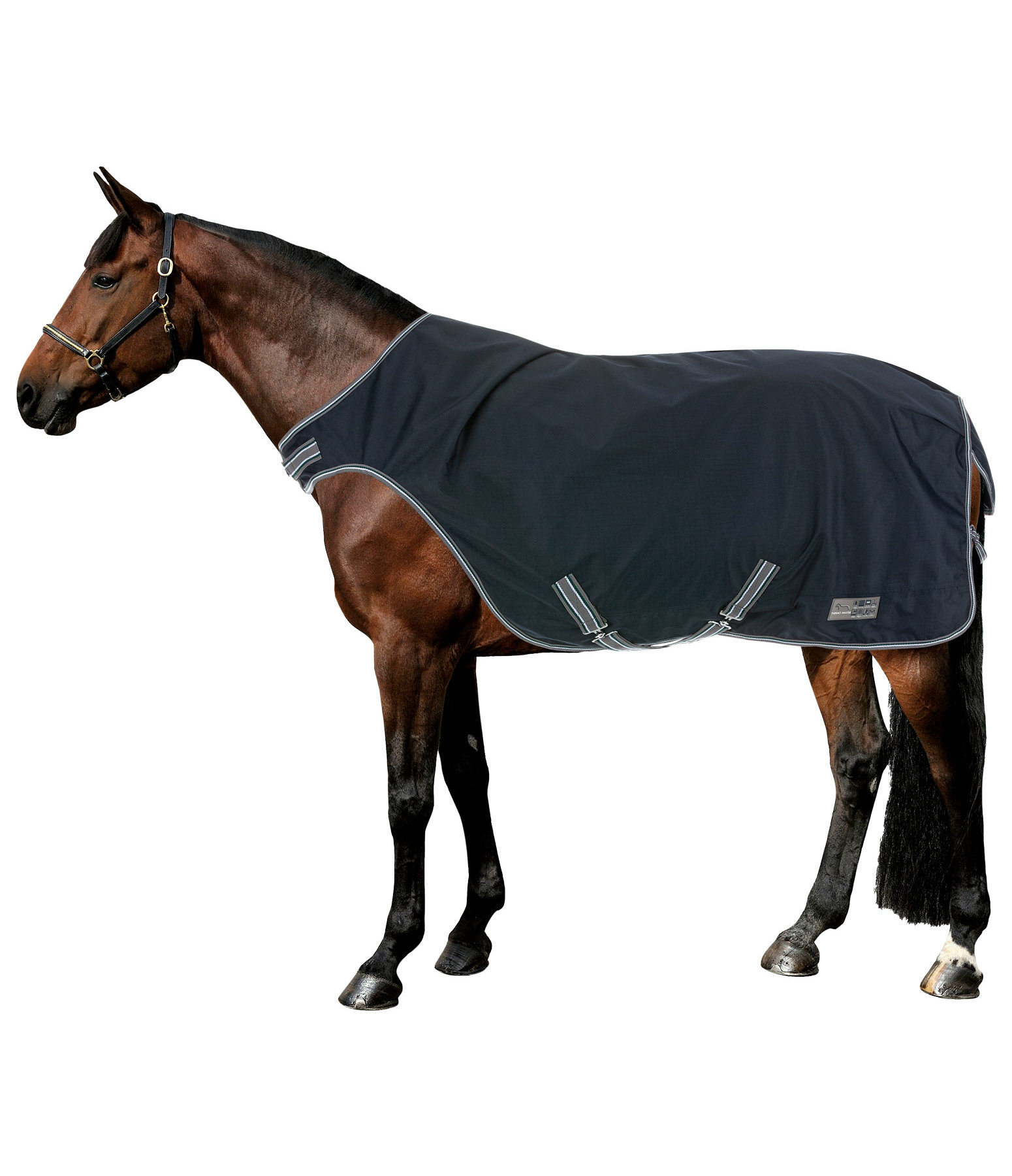 Turnout Walker Rug Kasimo II, 200g