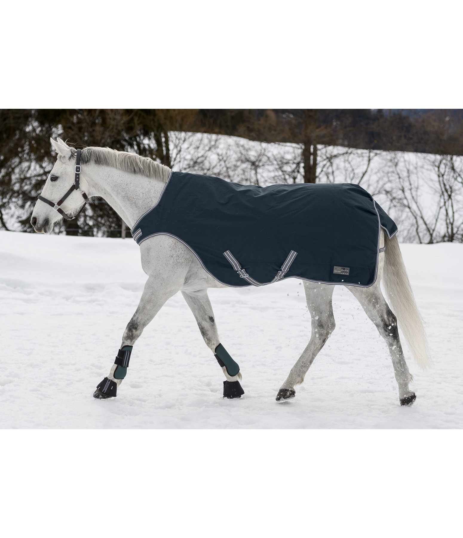 Turnout Walker Rug Kasimo II, 200g