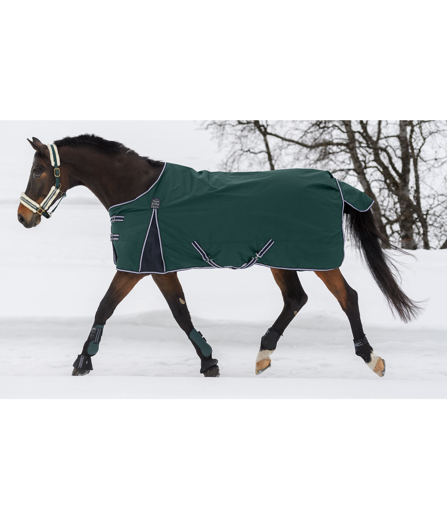 Turnout Rug Kaito With Fleece Lining And Teflon Coating, 100g