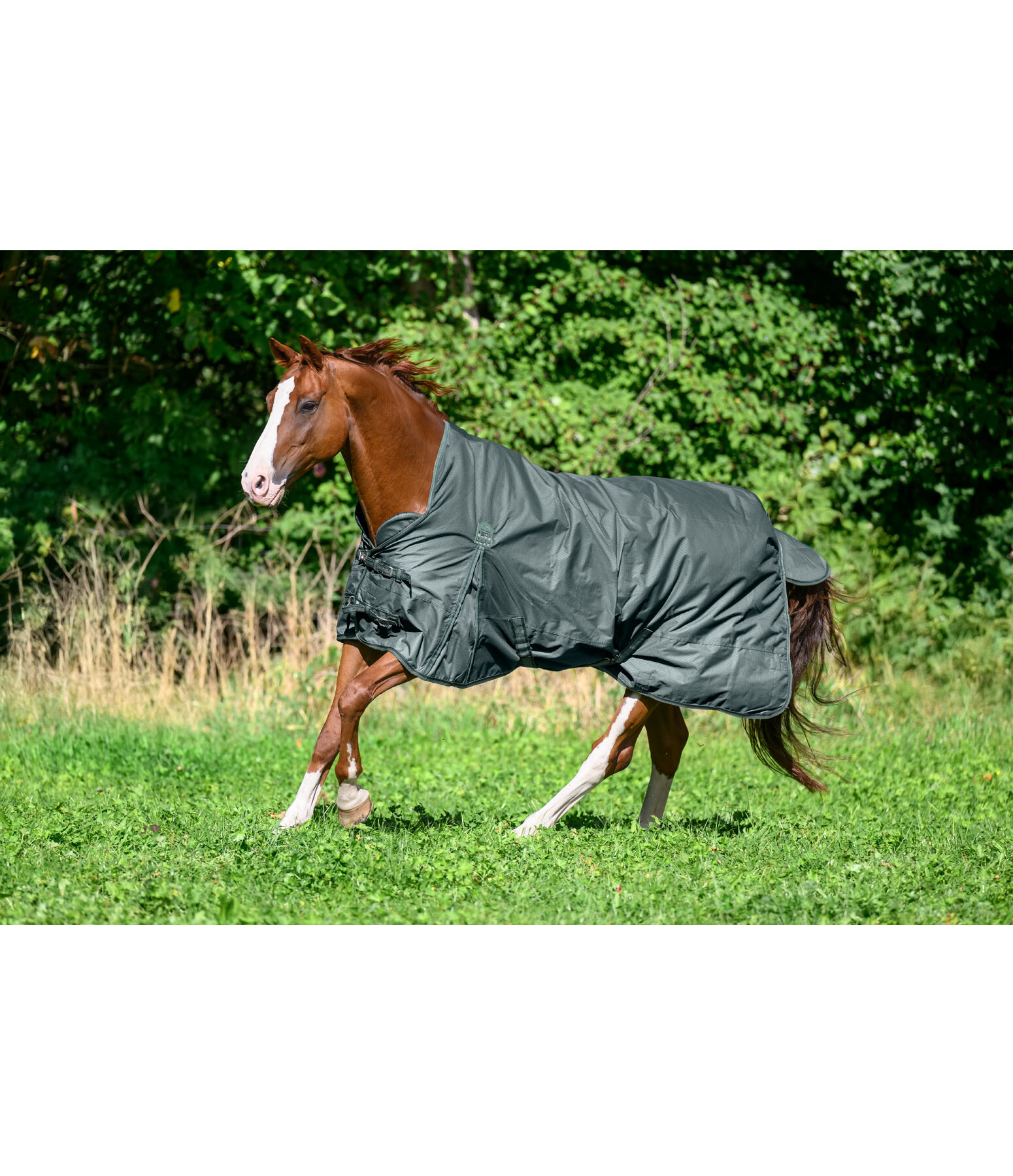 High Neck Turnout Rug Jesco II With Fleece Lining, 0g
