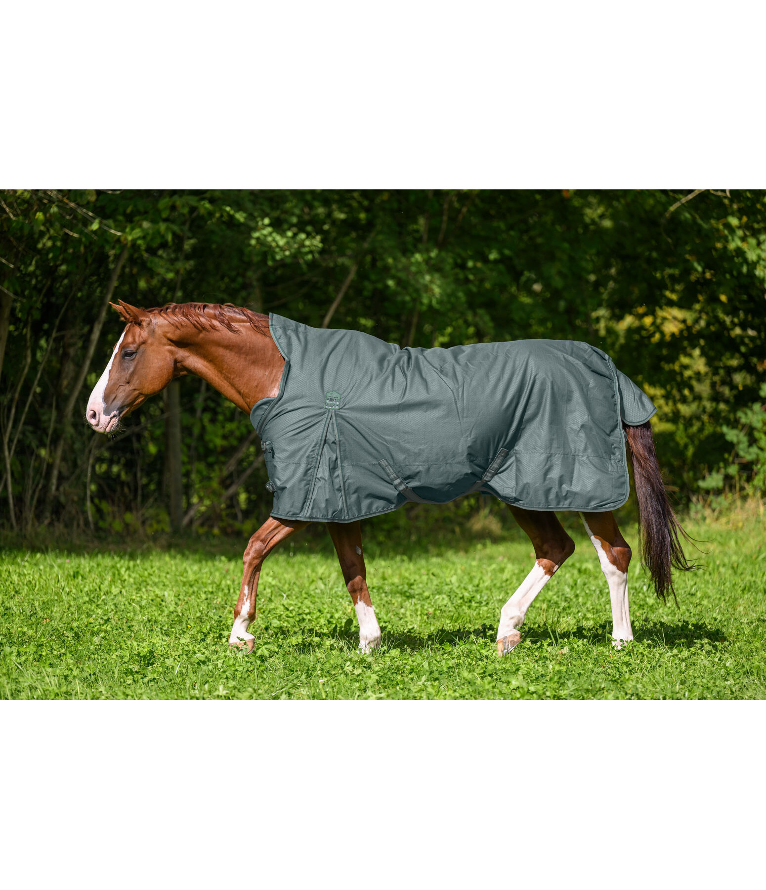 High Neck Turnout Rug Jesco II With Fleece Lining, 0g