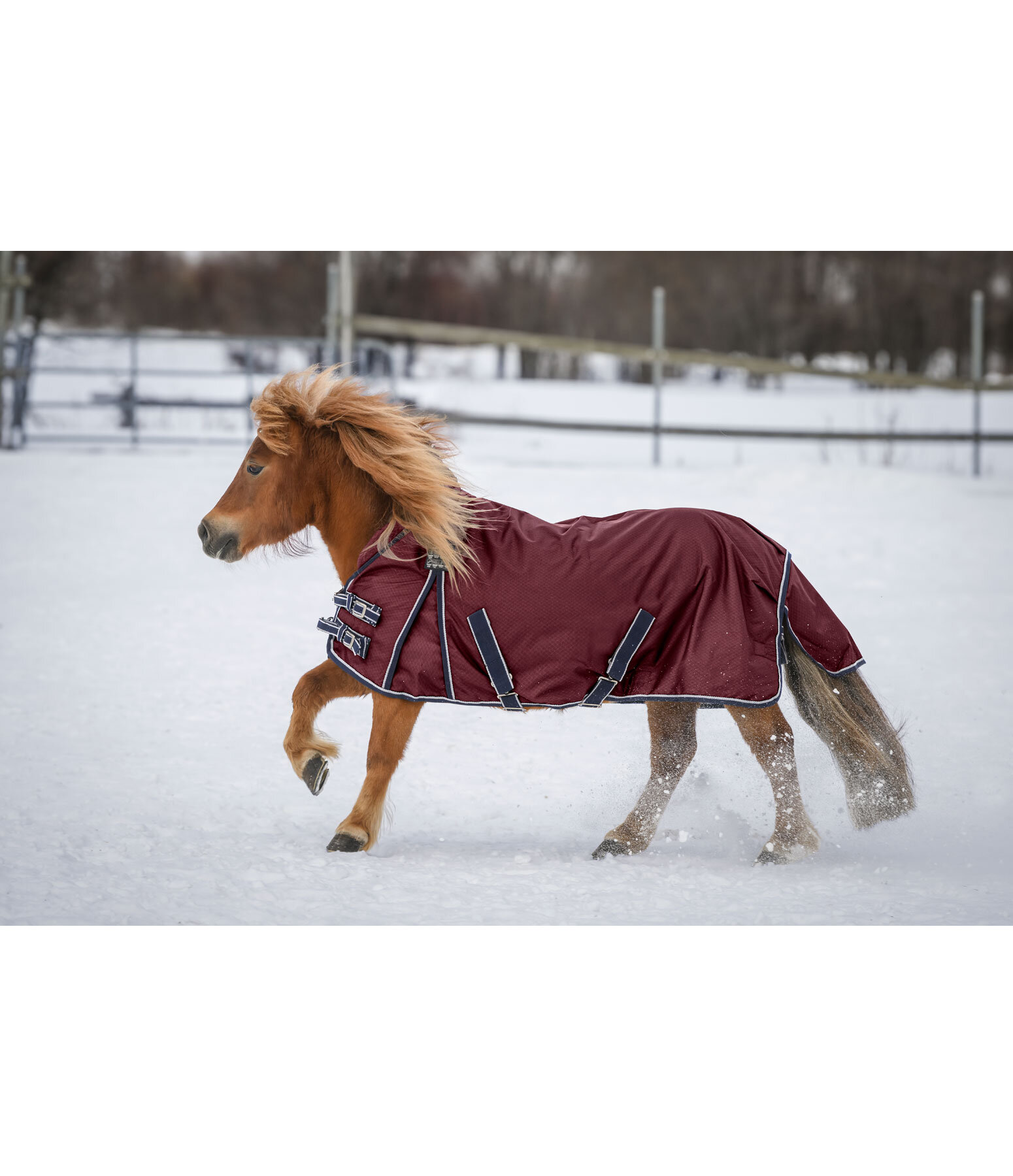 High Neck Turnout Rug Jesco II With Fleece Lining, 0g