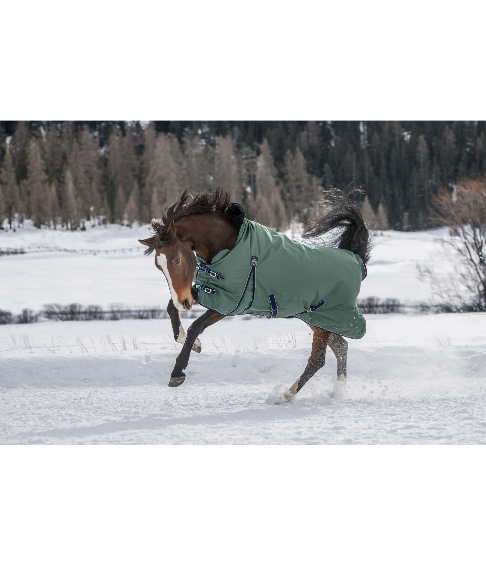 High Neck Turnout Rug Jesco II With Fleece Lining, 0g