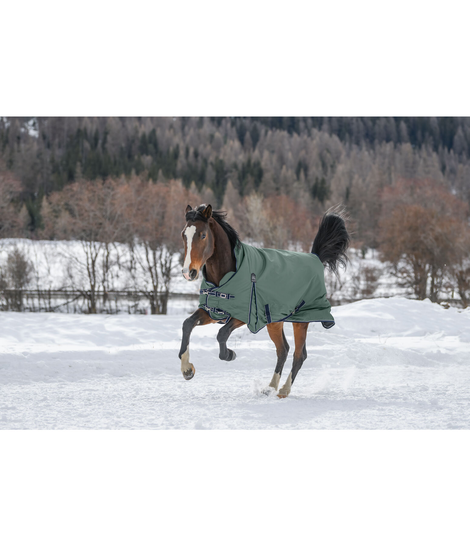 High Neck Turnout Rug Jesco II With Fleece Lining, 0g