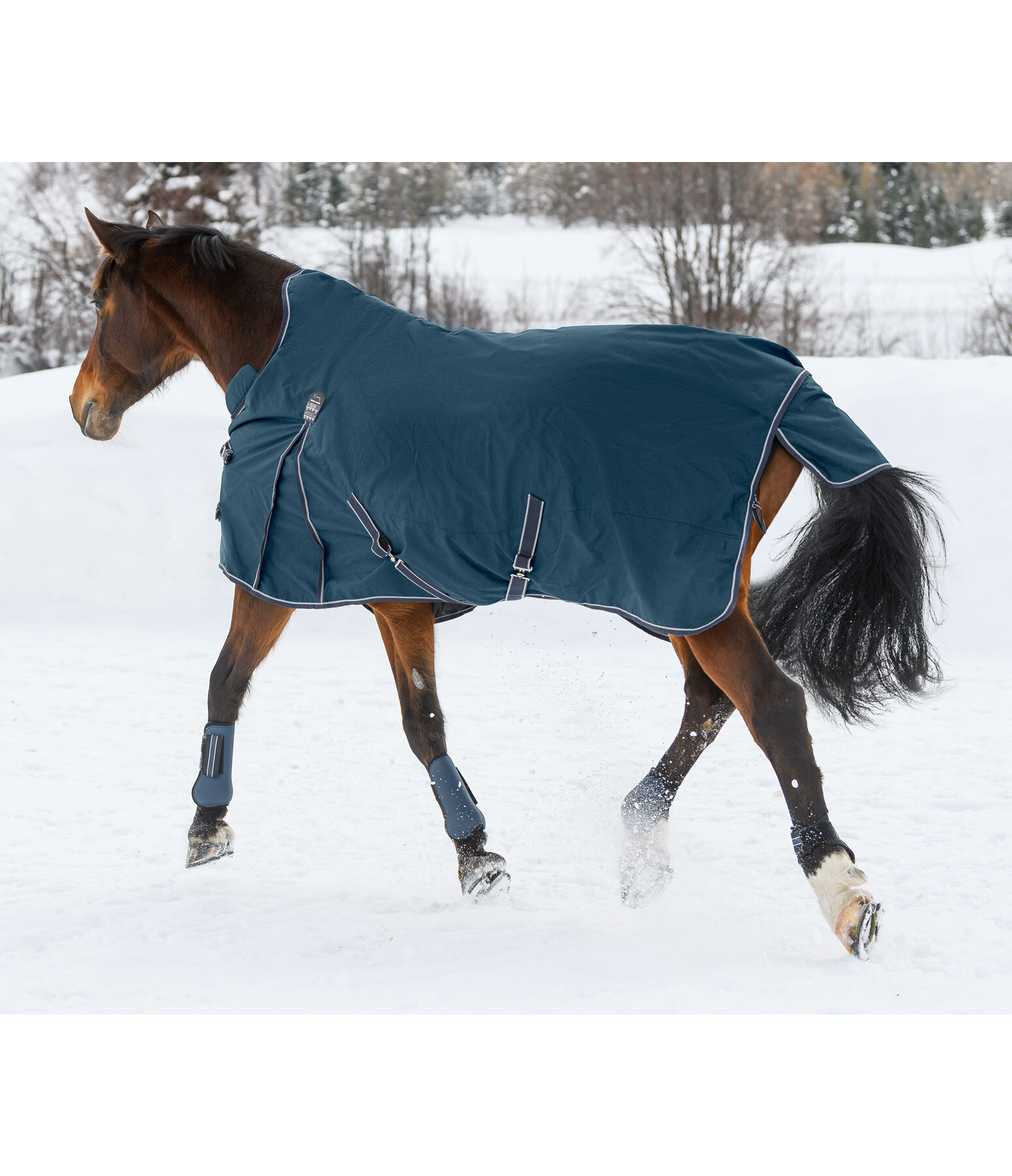 High Neck Turnout Rug Jesco II With Fleece Lining, 0g