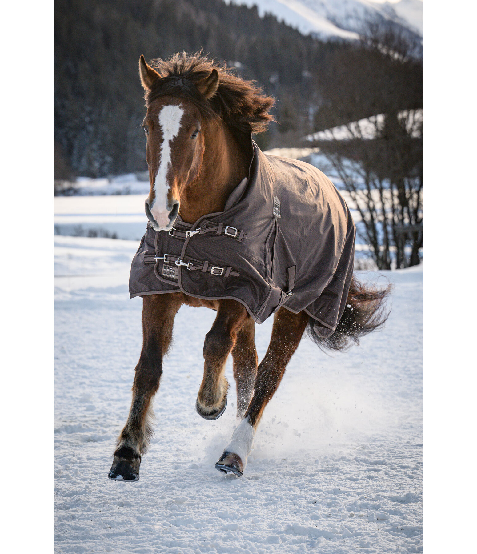 High Neck Turnout Rug Jesco II With Fleece Lining, 100g