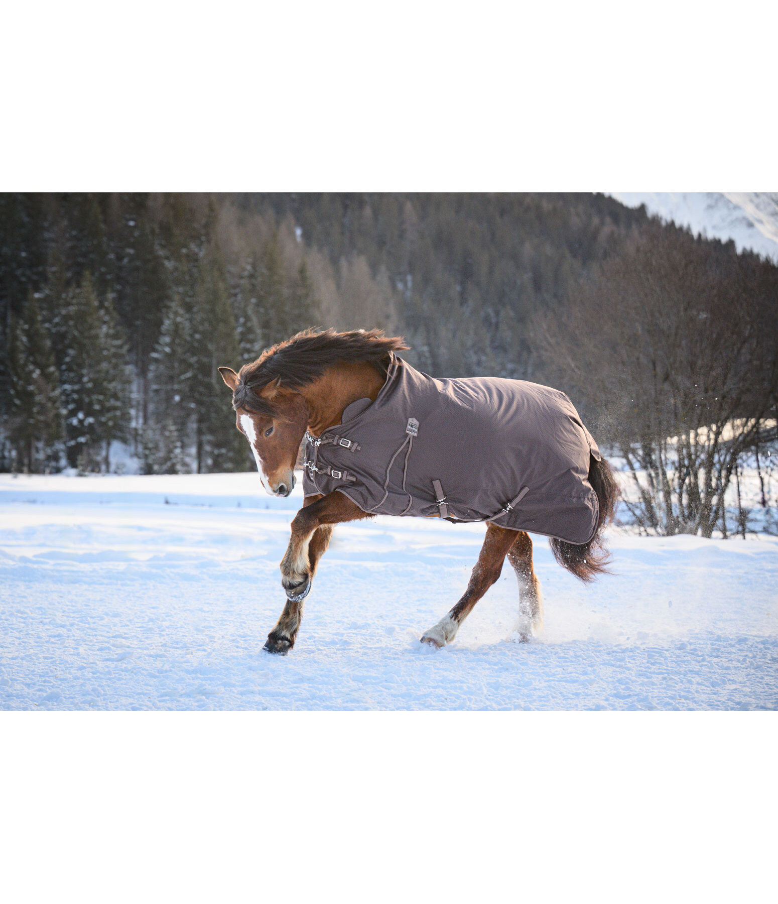 High Neck Turnout Rug Jesco II With Fleece Lining, 100g