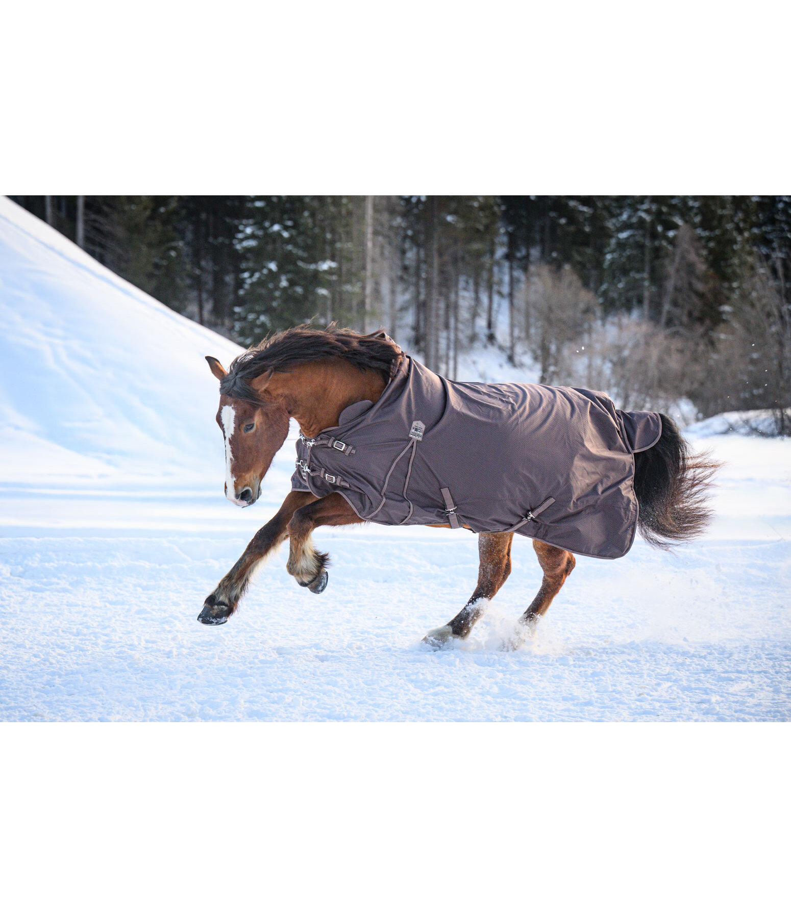 High Neck Turnout Rug Jesco II With Fleece Lining, 100g