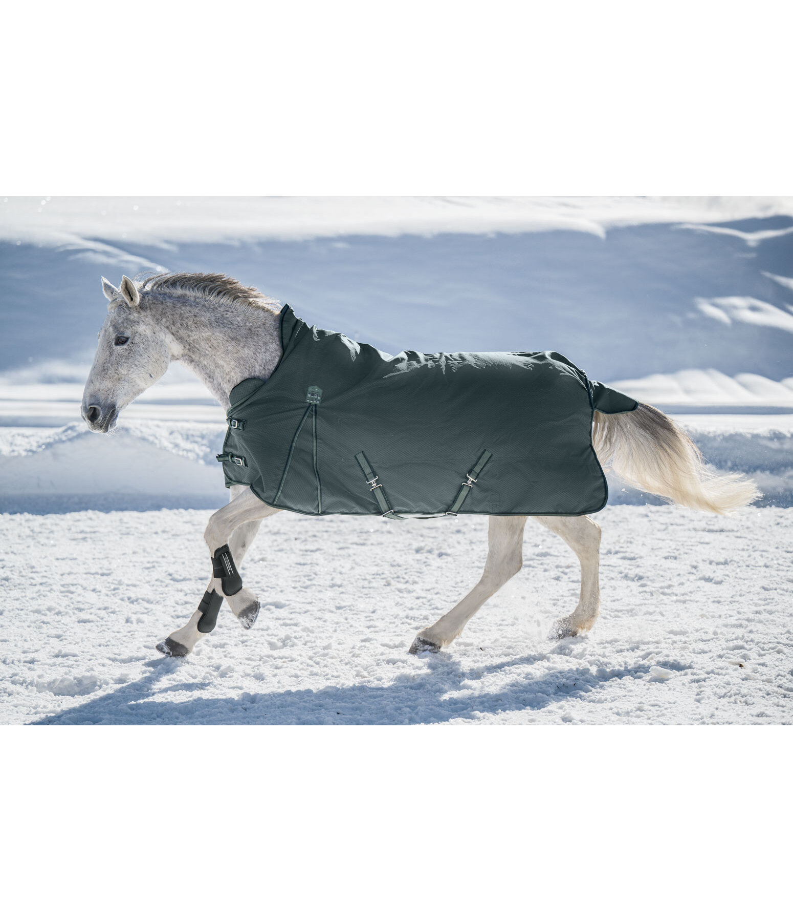 THERMO MASTER High Neck Turnout Rug Jesco II With Fleece Lining, 100g