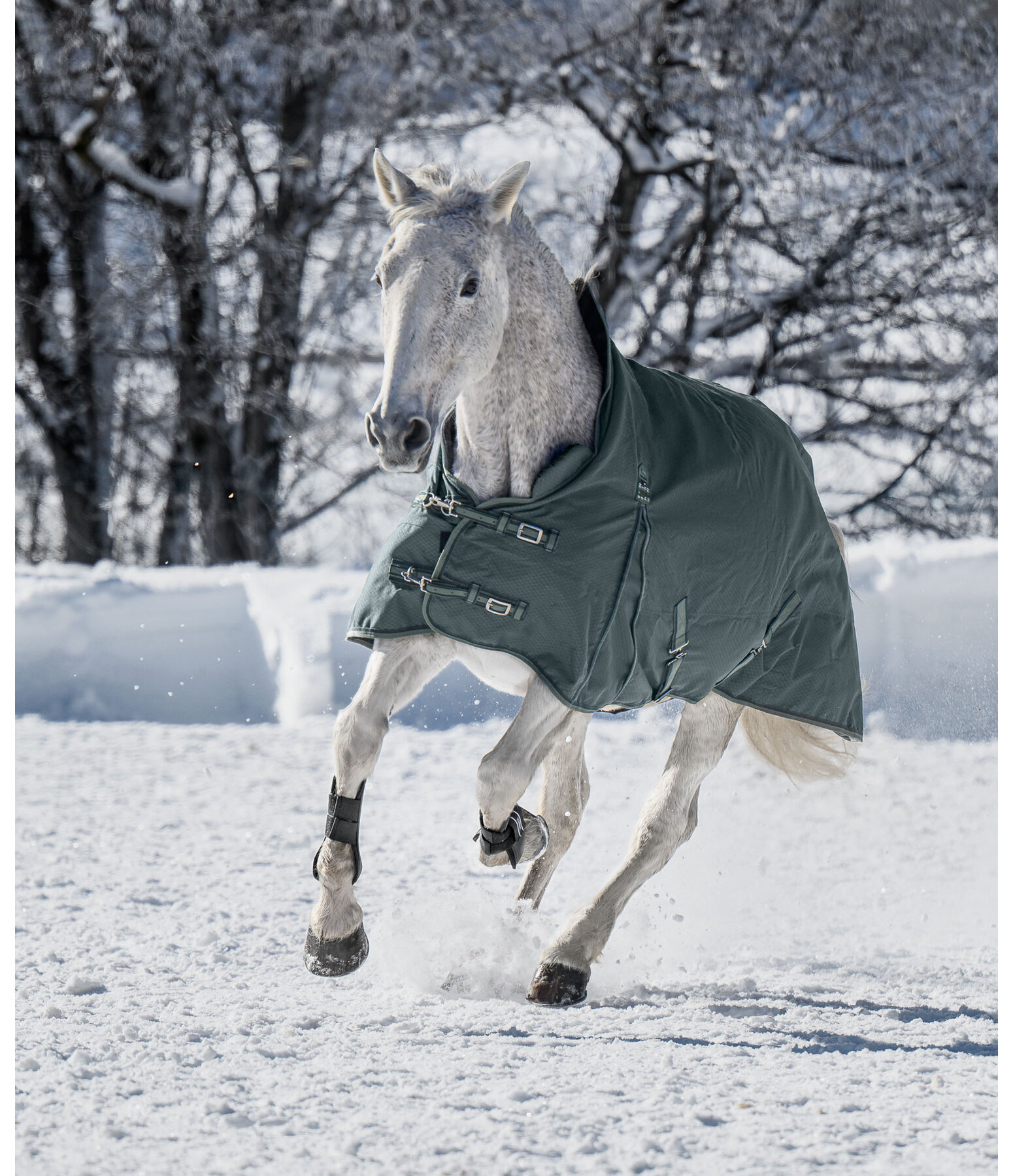THERMO MASTER High Neck Turnout Rug Jesco II With Fleece Lining, 100g