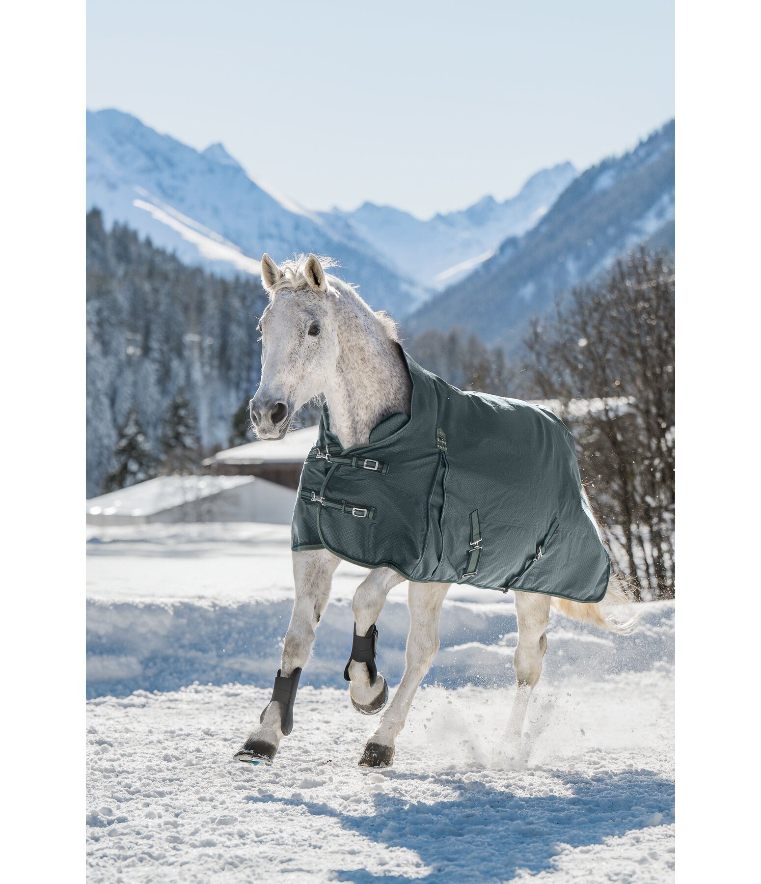 THERMO MASTER High Neck Turnout Rug Jesco II With Fleece Lining, 100g