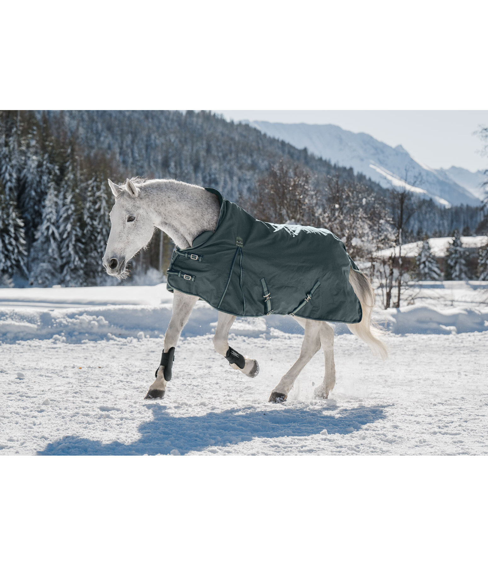THERMO MASTER High Neck Turnout Rug Jesco II With Fleece Lining, 100g