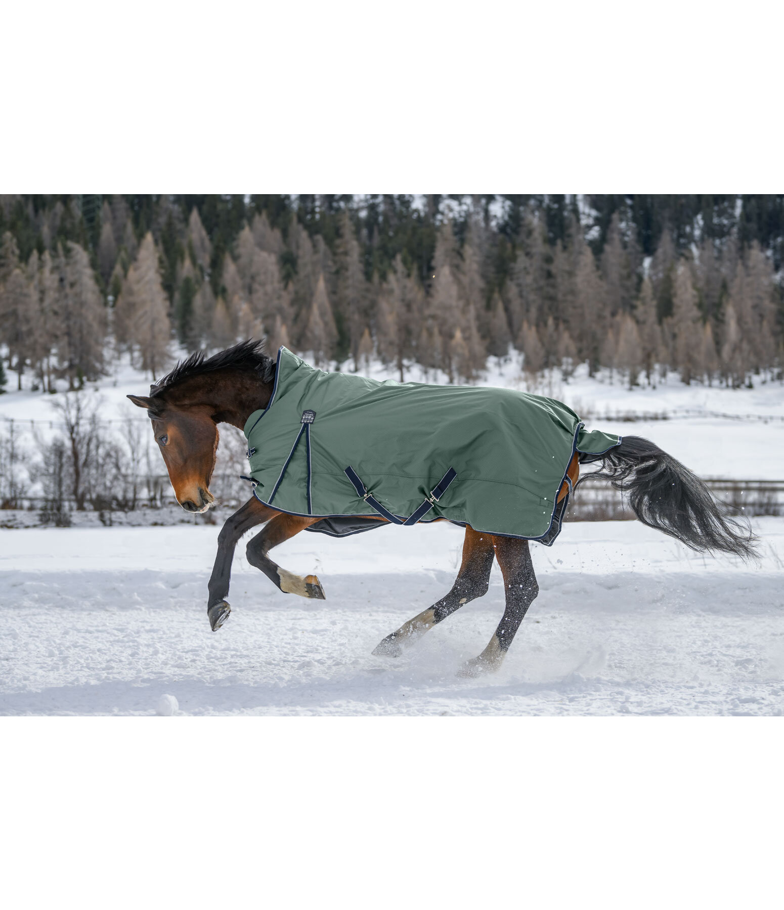 High Neck Turnout Rug Jesco II With Fleece Lining, 100g