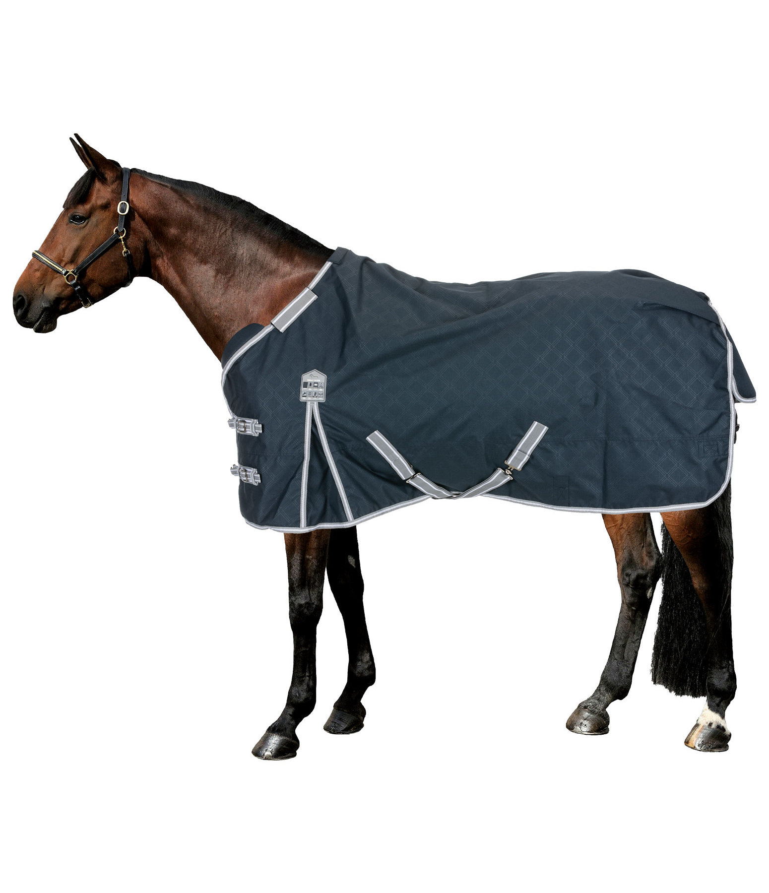 Combination System Regular Neck Turnout Rug Janice, 0g