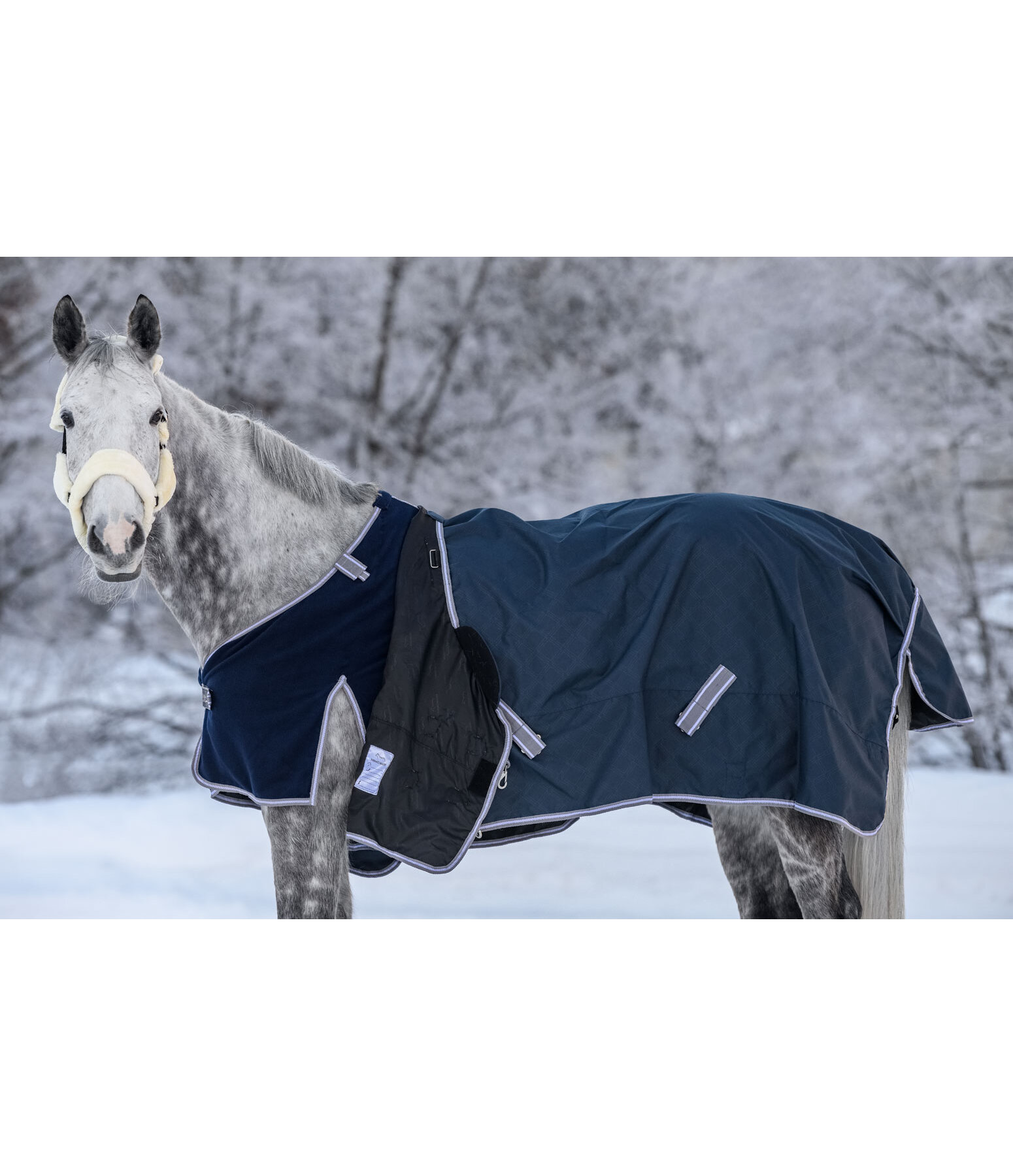 Combination System Regular Neck Turnout Rug Janice, 0g