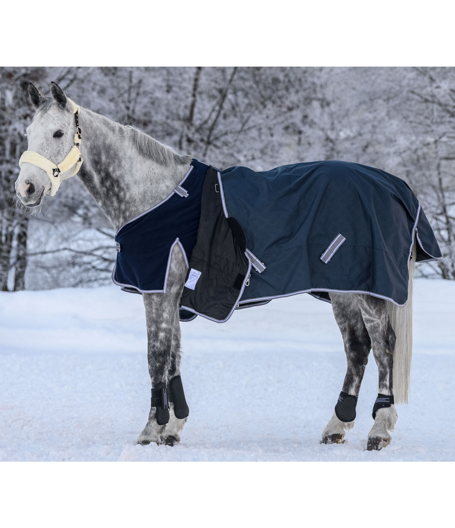 Combination System Regular Neck Turnout Rug Janice, 0g