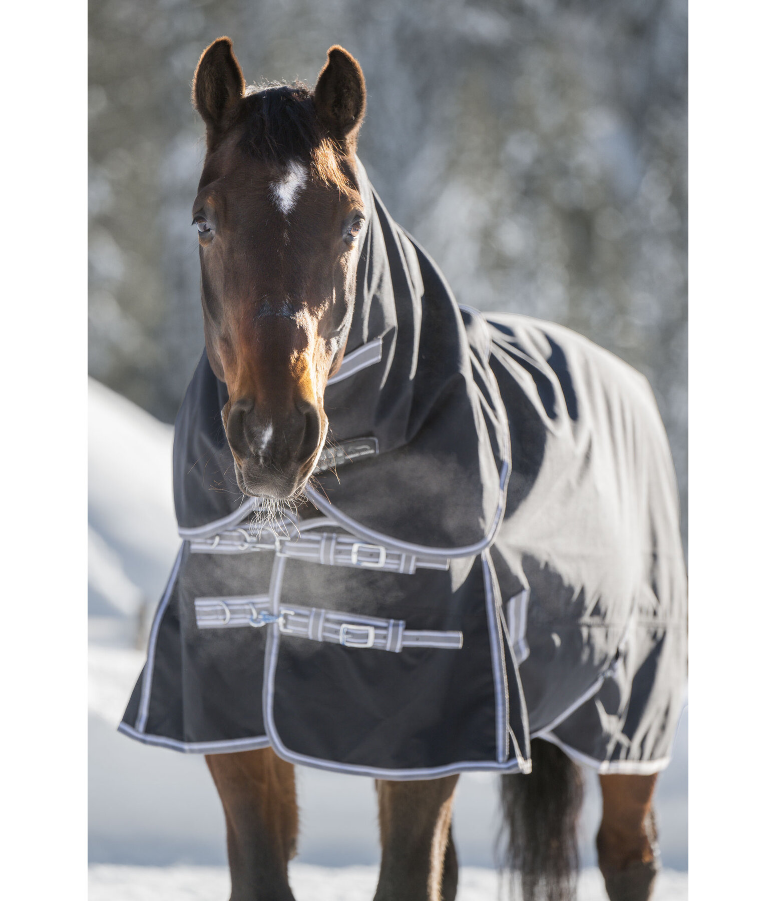 Combination System Regular Neck Turnout Rug Janice, 0g