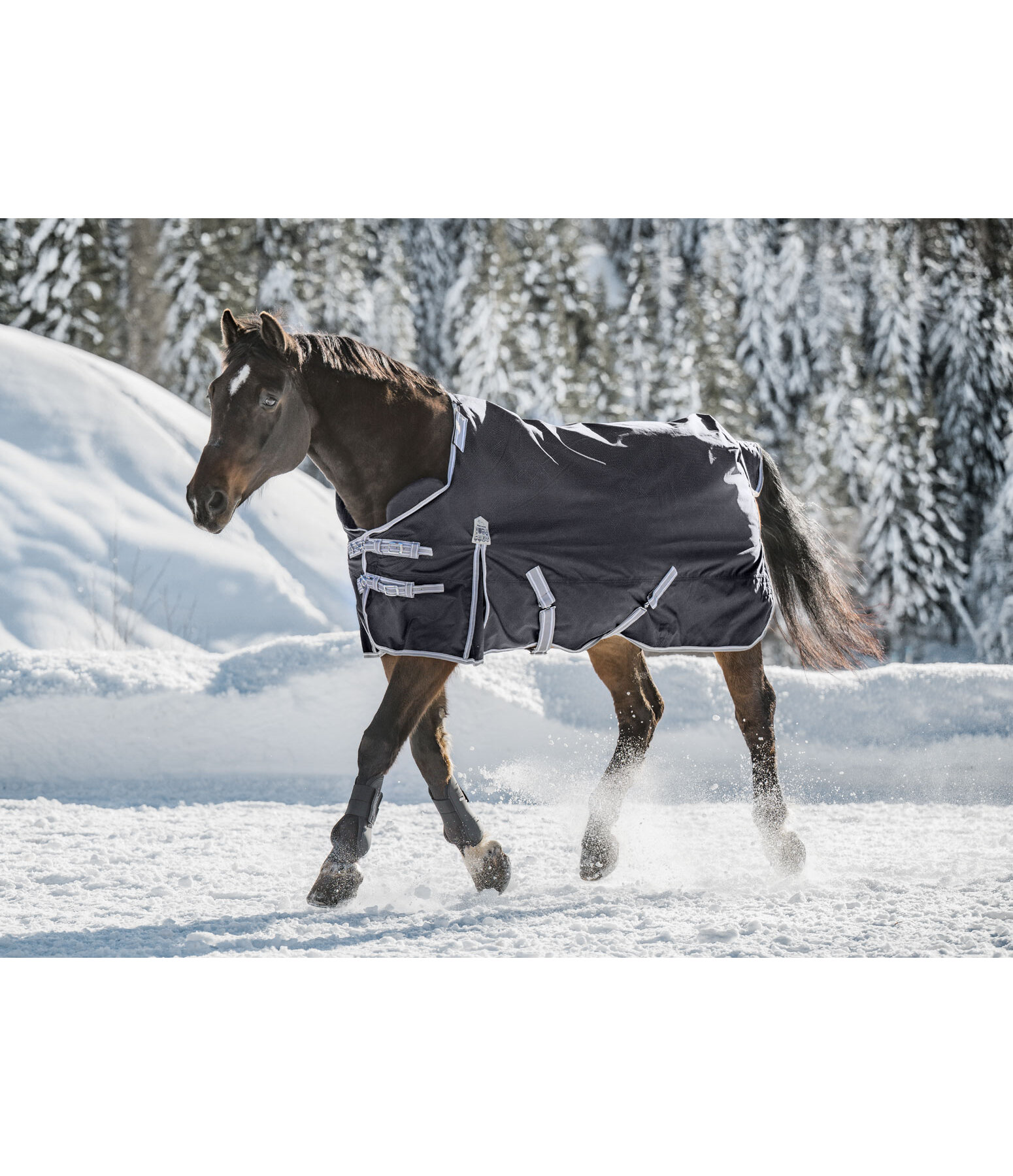 Combination System Regular Neck Turnout Rug Janice, 0g