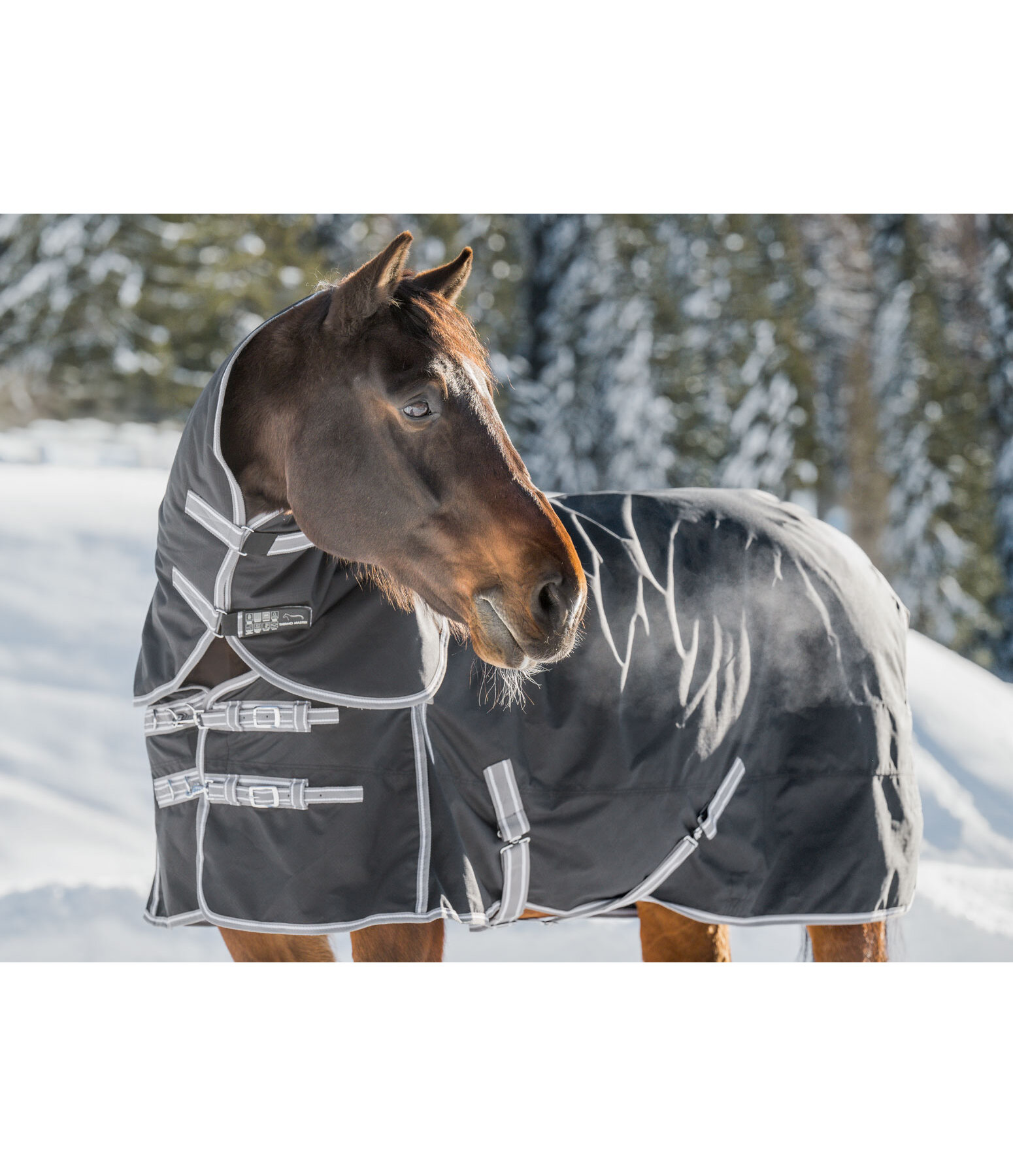 Combination System Neck Piece for Turnout Rug Janice, 150g
