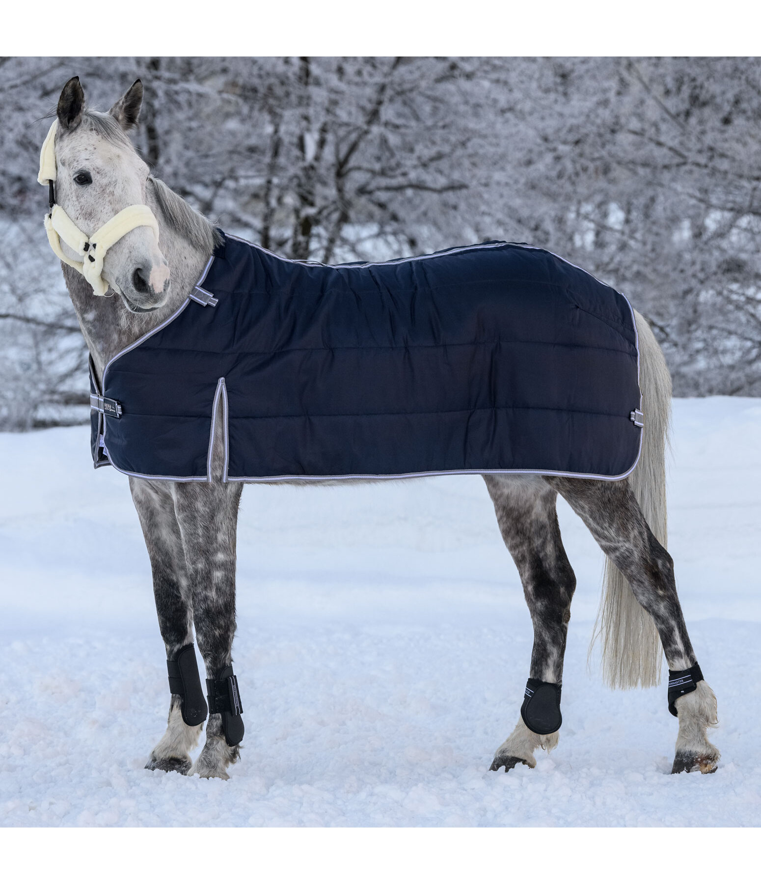 Combination System Inner Rug for Turnout Rugs Janice, 150g