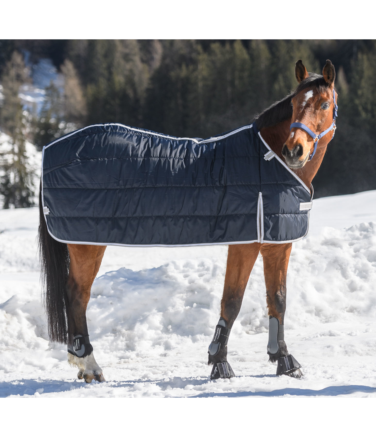 Combination System Inner Rug for Turnout Rugs Janice, 250g