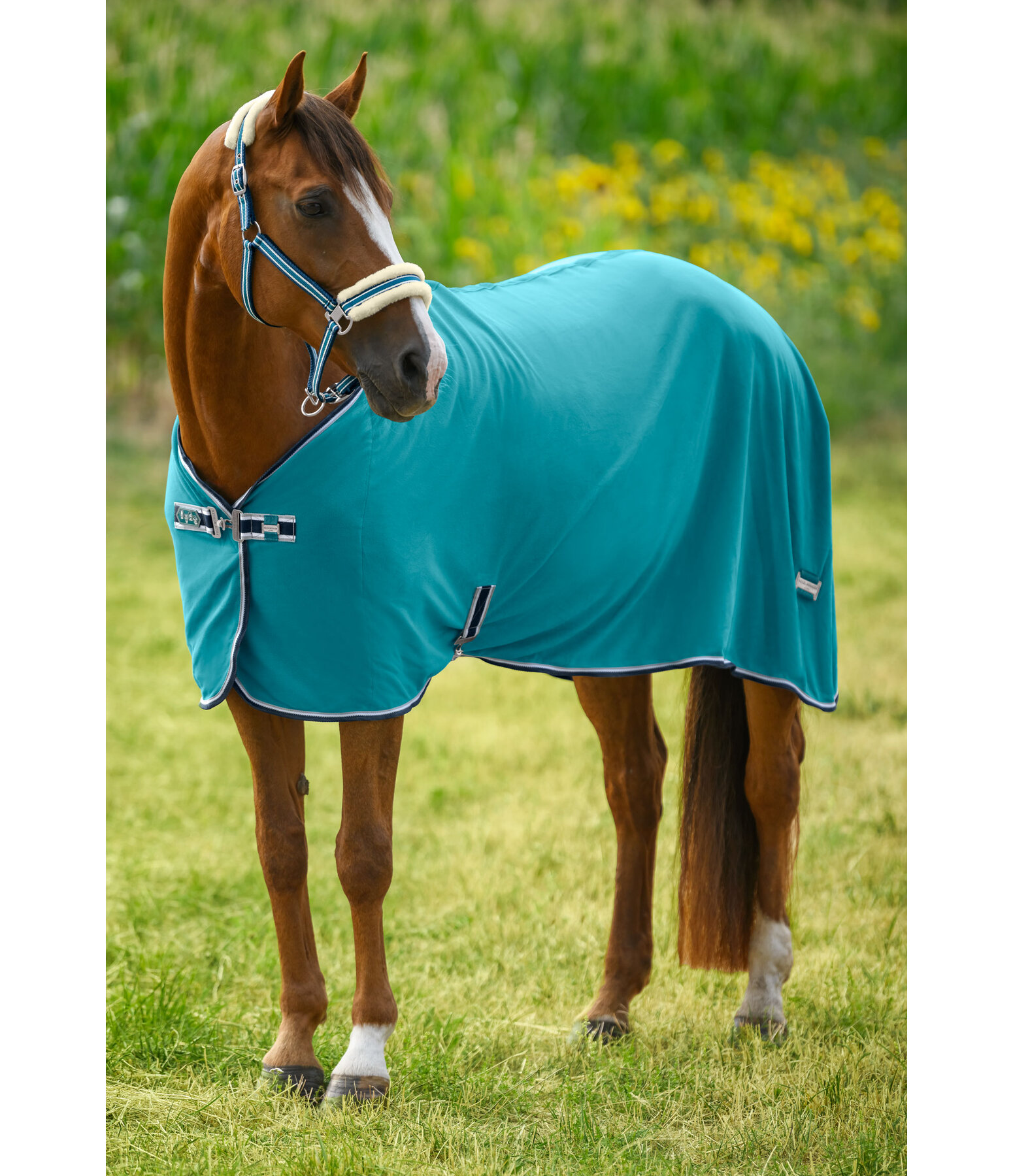 Functional Fleece Wicking Rug Essential