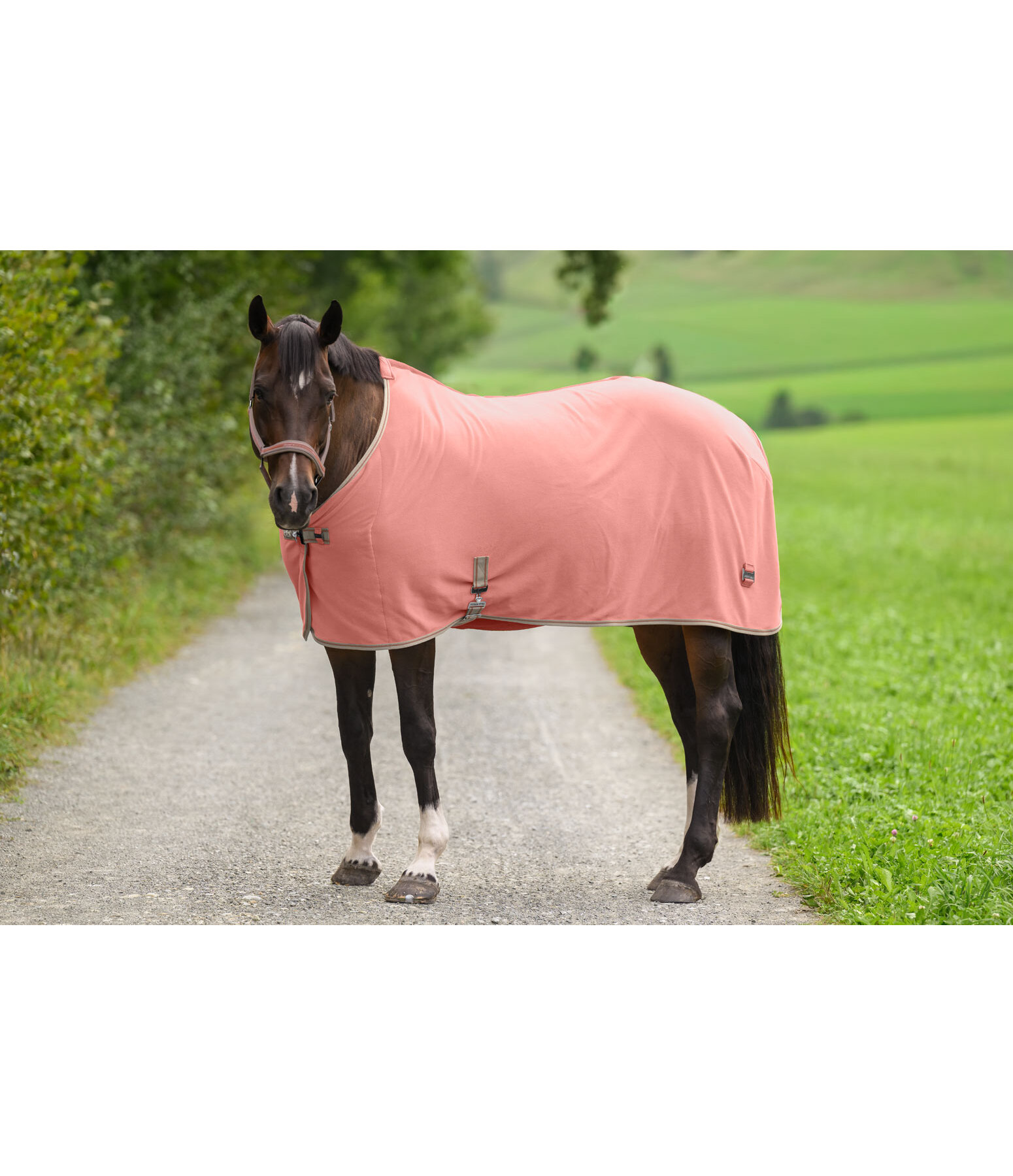 Functional Fleece Wicking Rug Essential