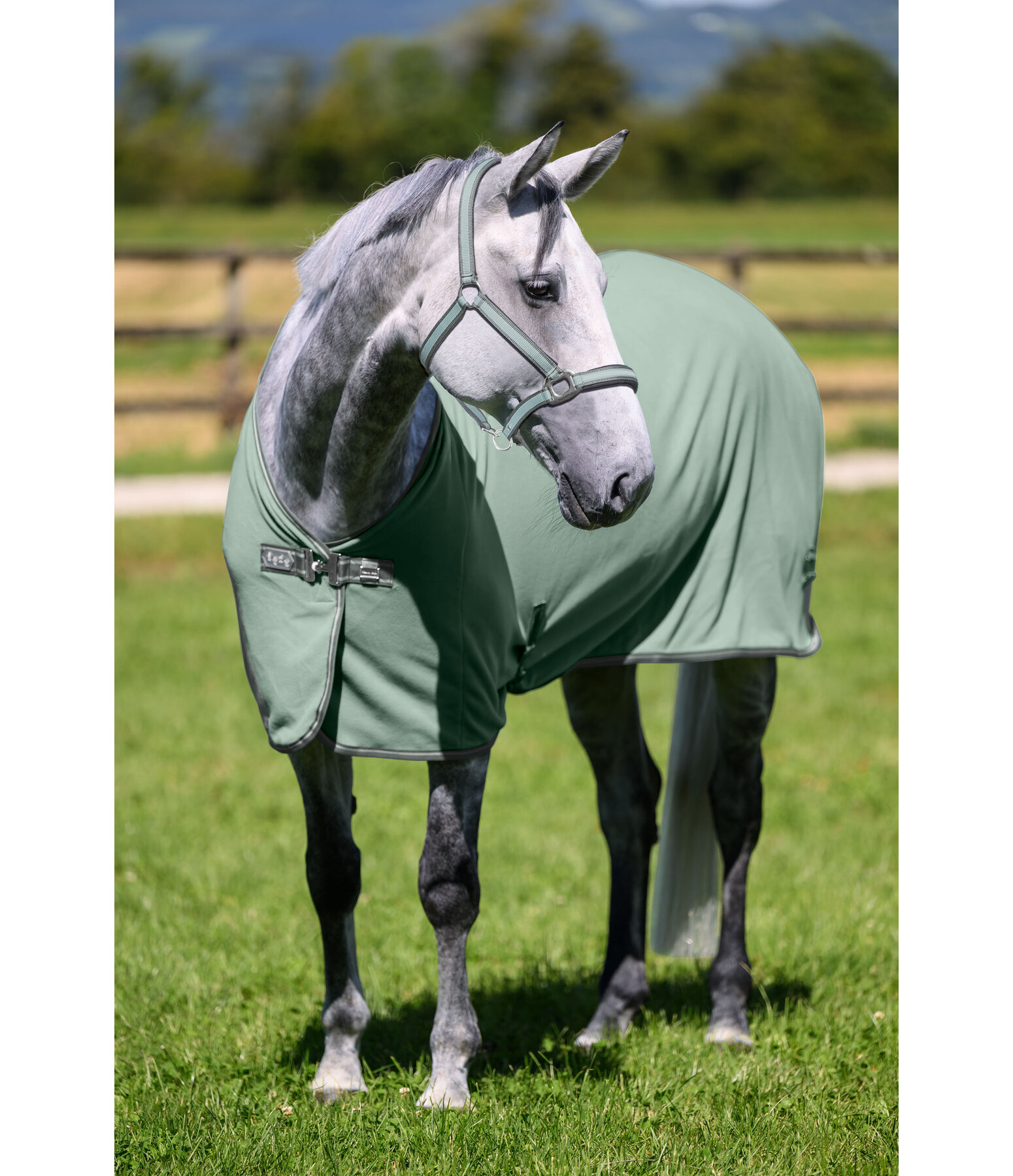 Functional Fleece Wicking Rug Essential