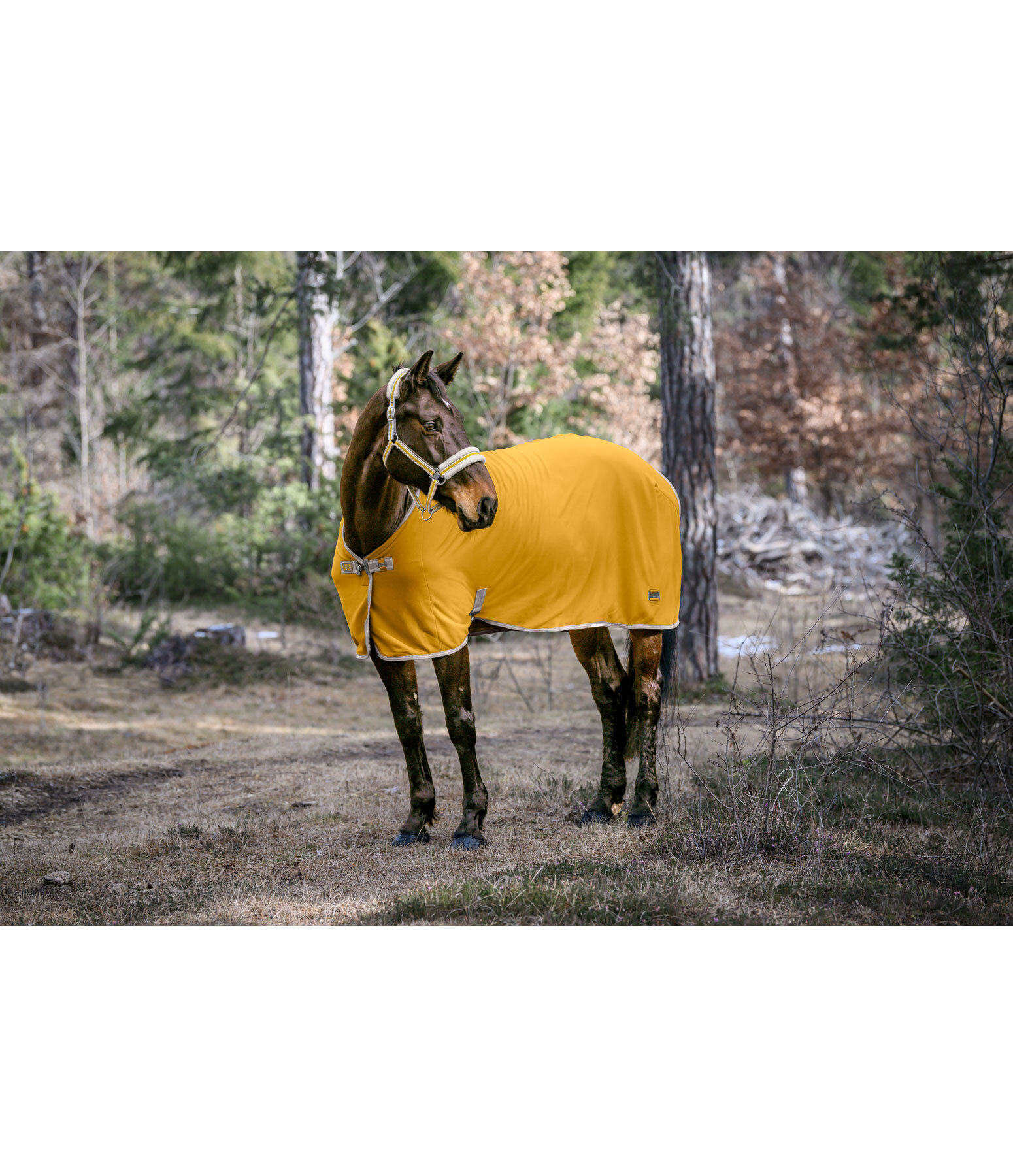 Functional Fleece Wicking Rug Essential