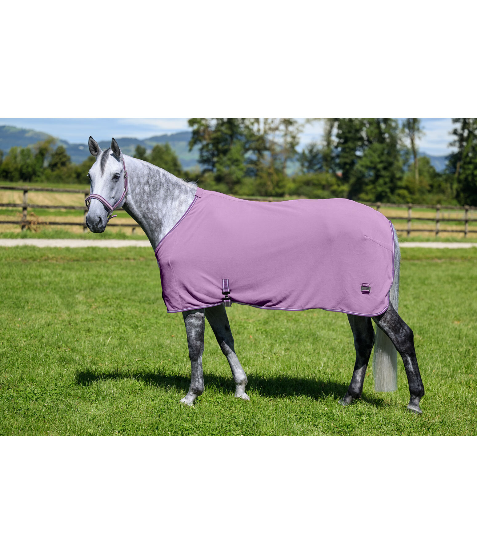 Functional Fleece Wicking Rug Essential