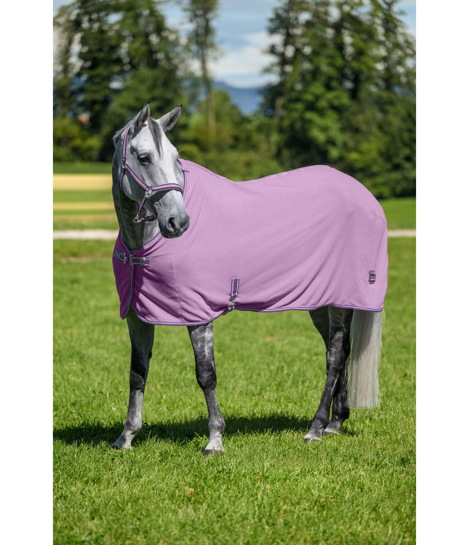 Functional Fleece Wicking Rug Essential