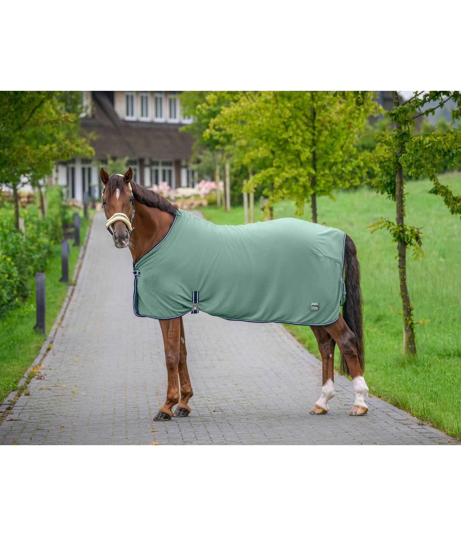 Functional Fleece Wicking Rug Essential