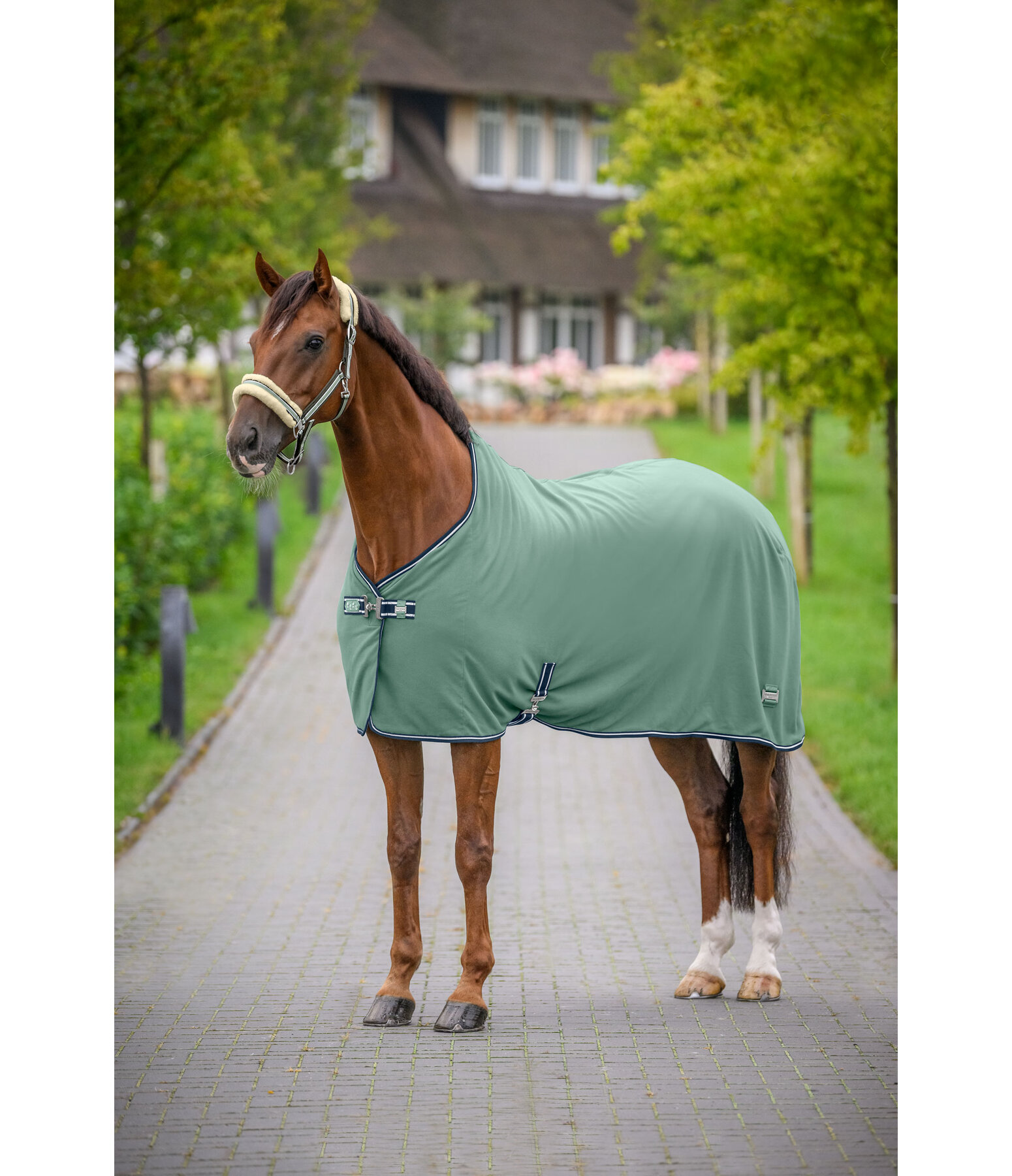 Functional Fleece Wicking Rug Essential