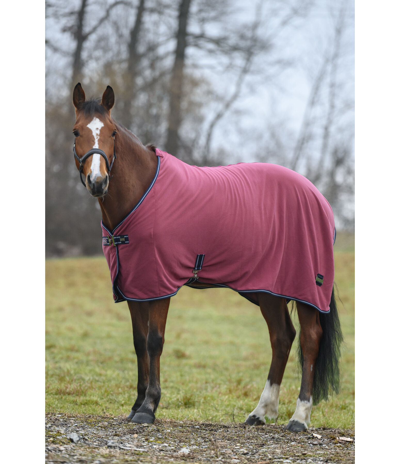 Functional Fleece Wicking Rug Essential