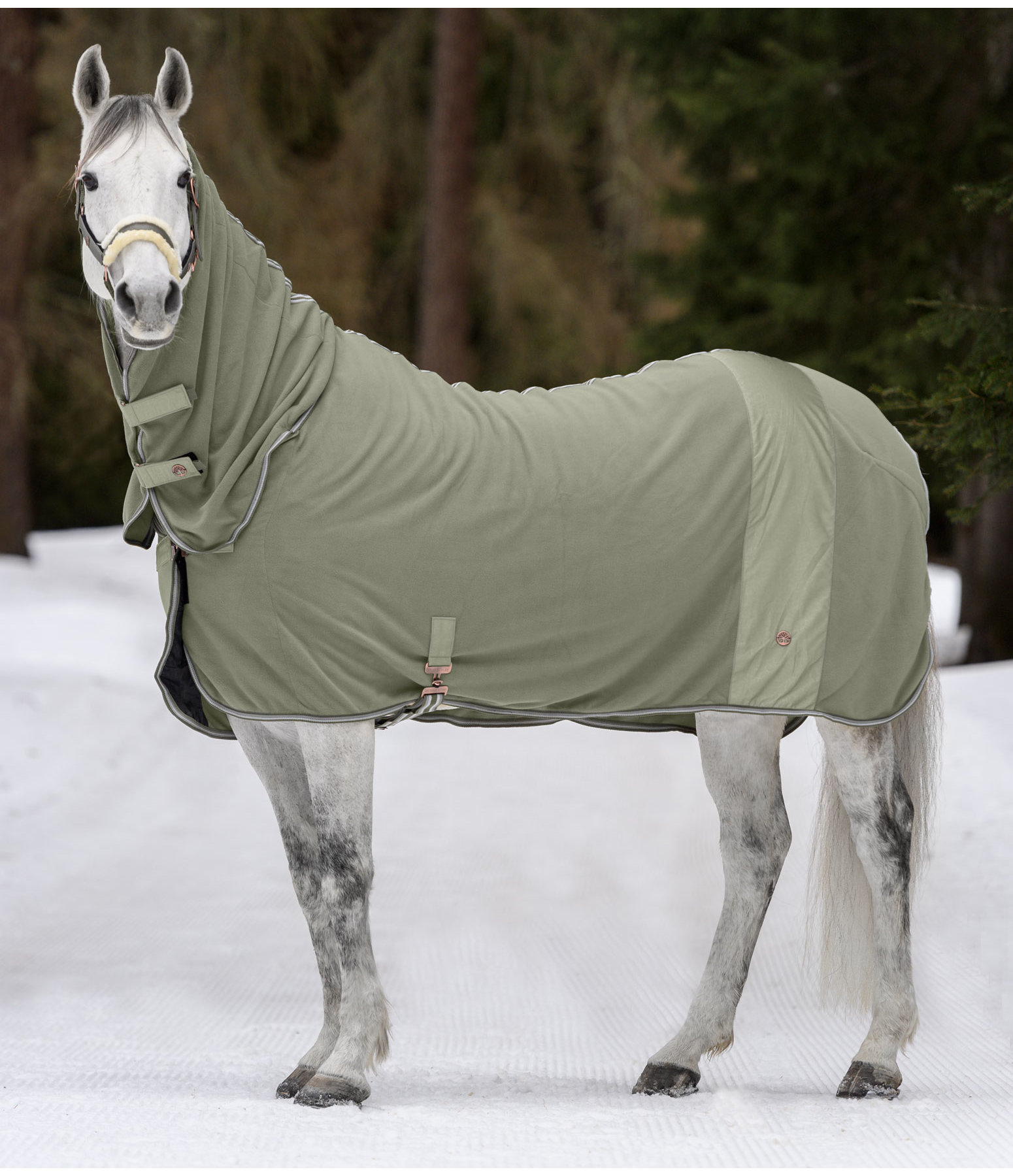 Full Neck Functional Wicking Rug Tree of Life Kramer Equestrian