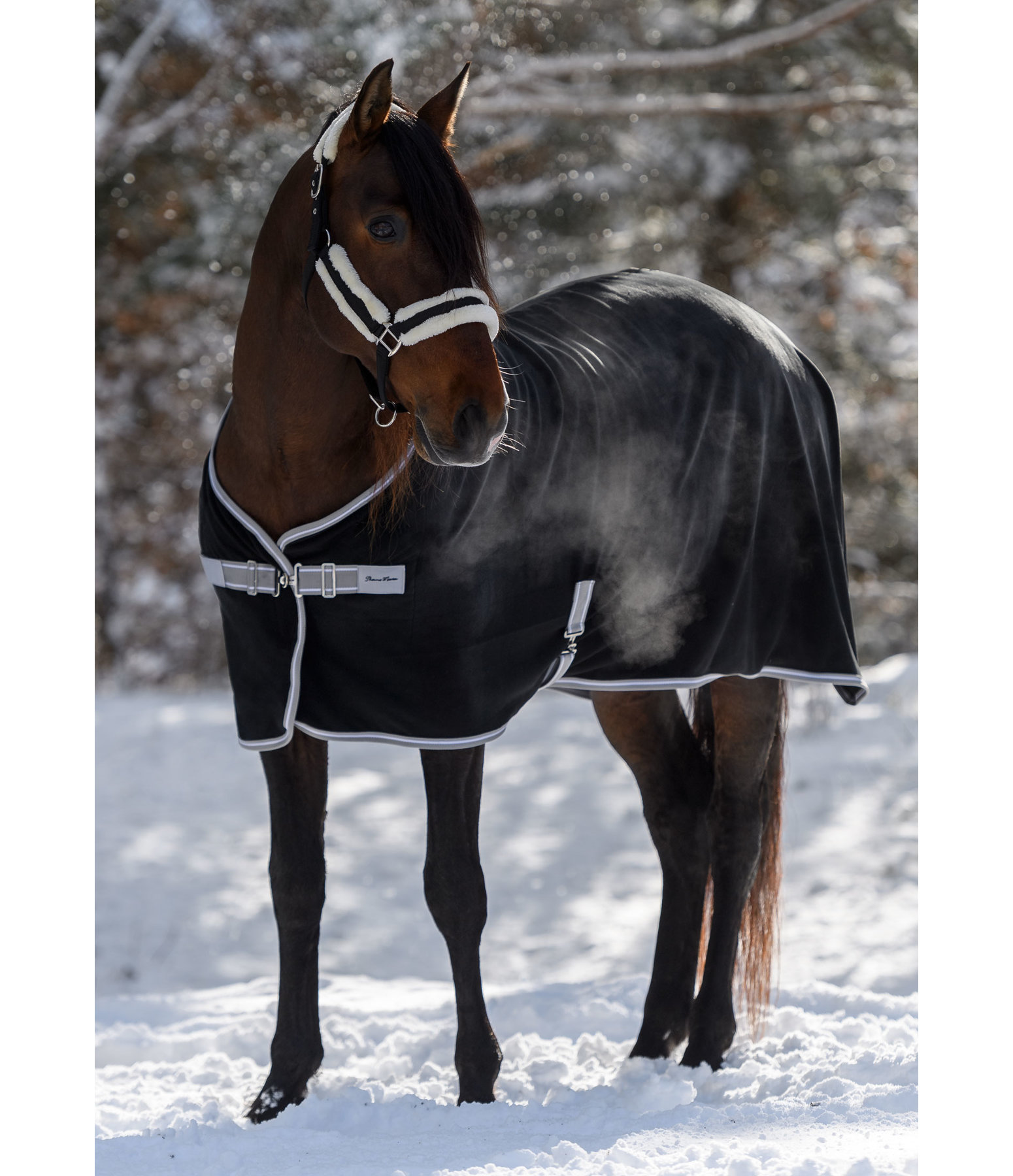 Fleece Wicking Rug Basic Horse Rugs Kramer Equestrian