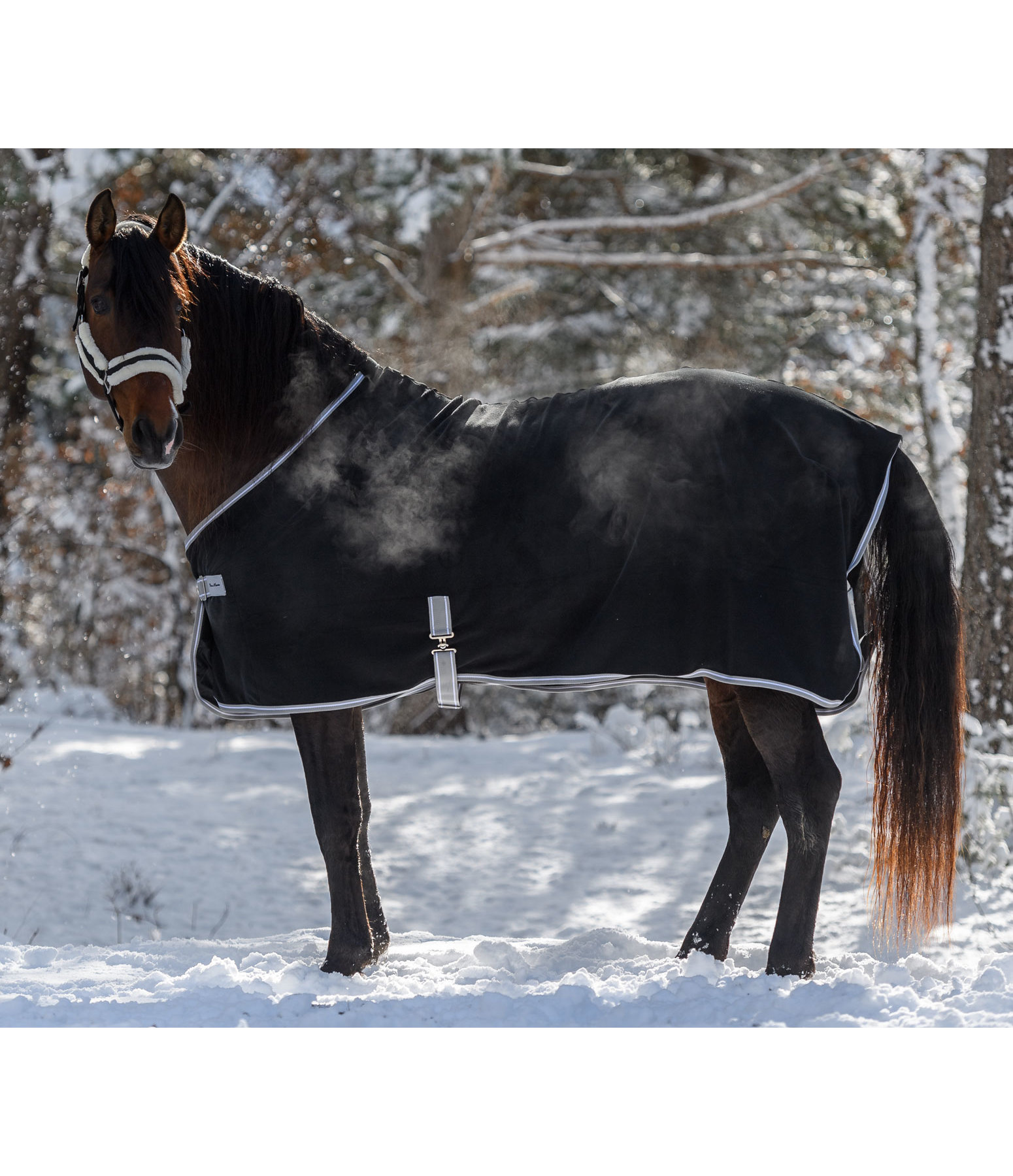 Fleece Wicking Rug Basic Horse Rugs Kramer Equestrian