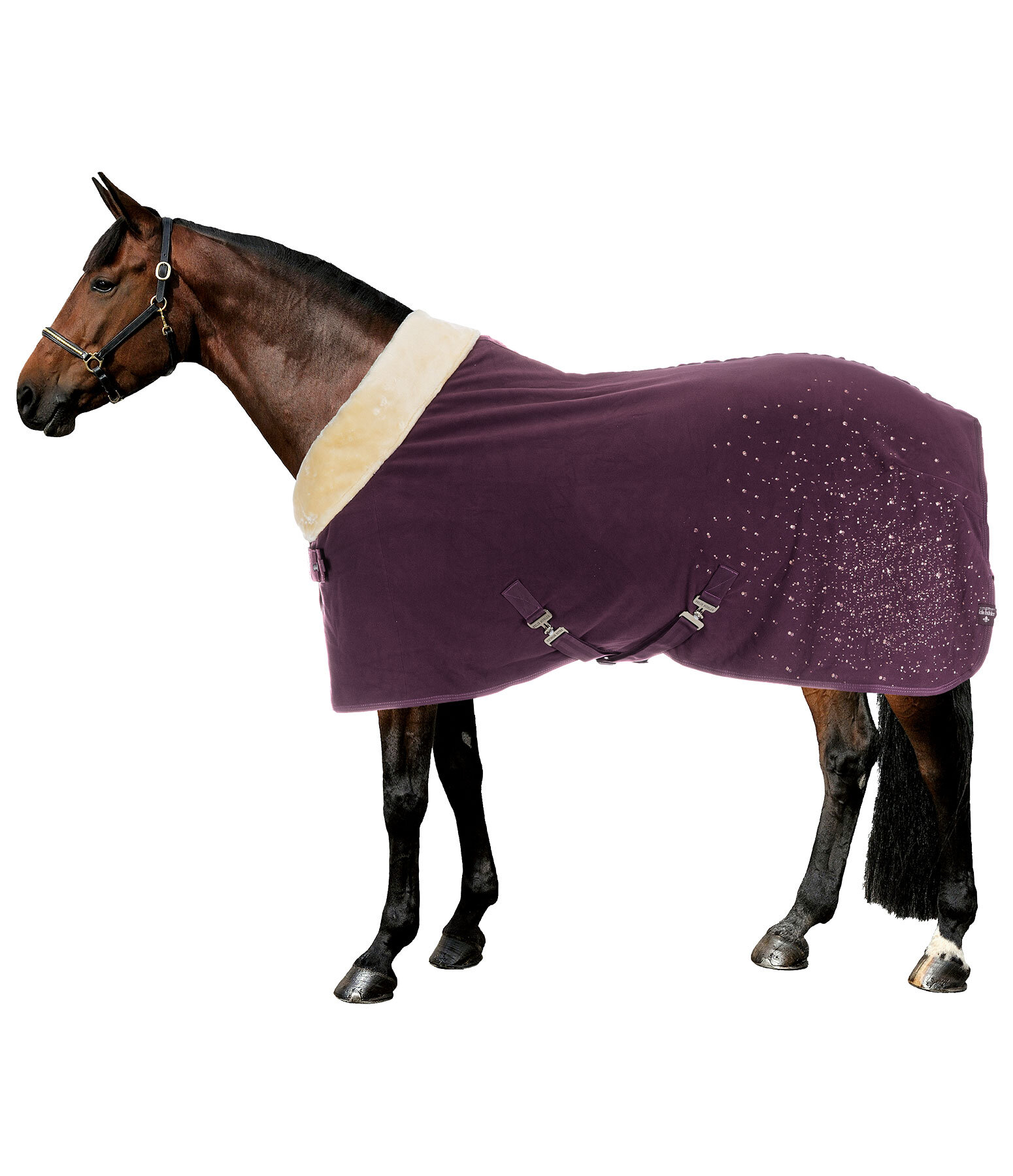 Functional Fleece Wicking Rug Sparkling II