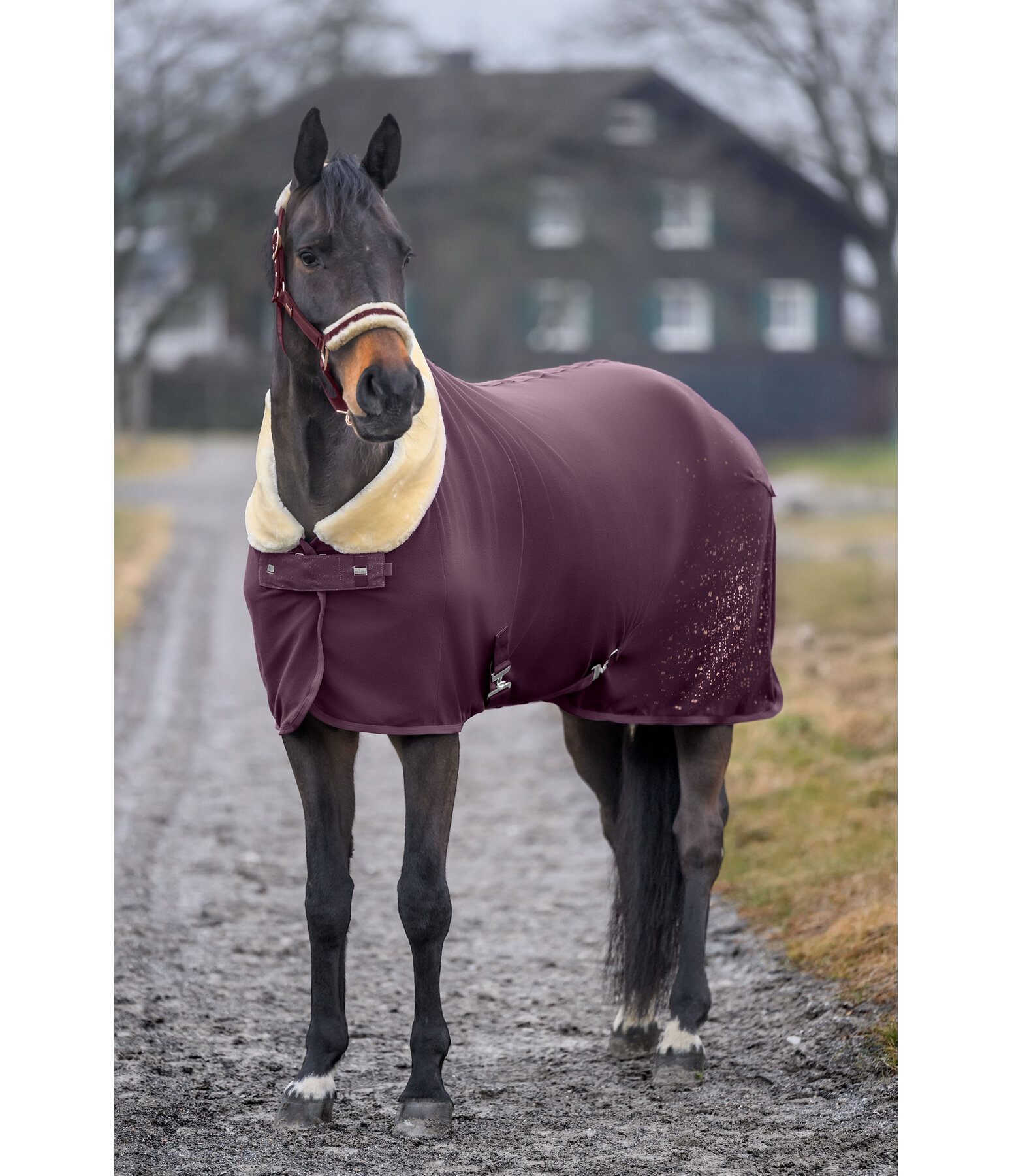 Functional Fleece Wicking Rug Sparkling II