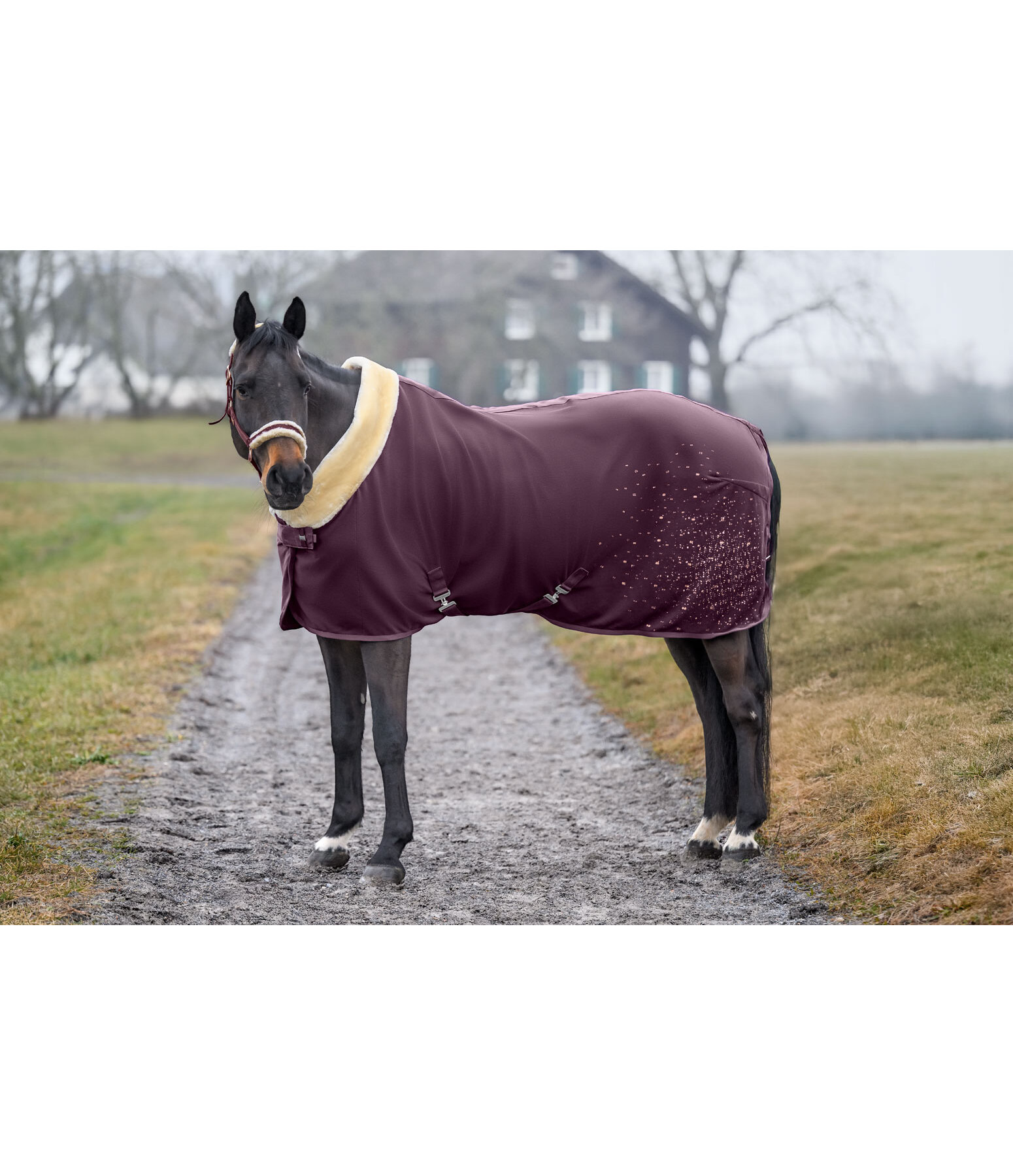Functional Fleece Wicking Rug Sparkling II